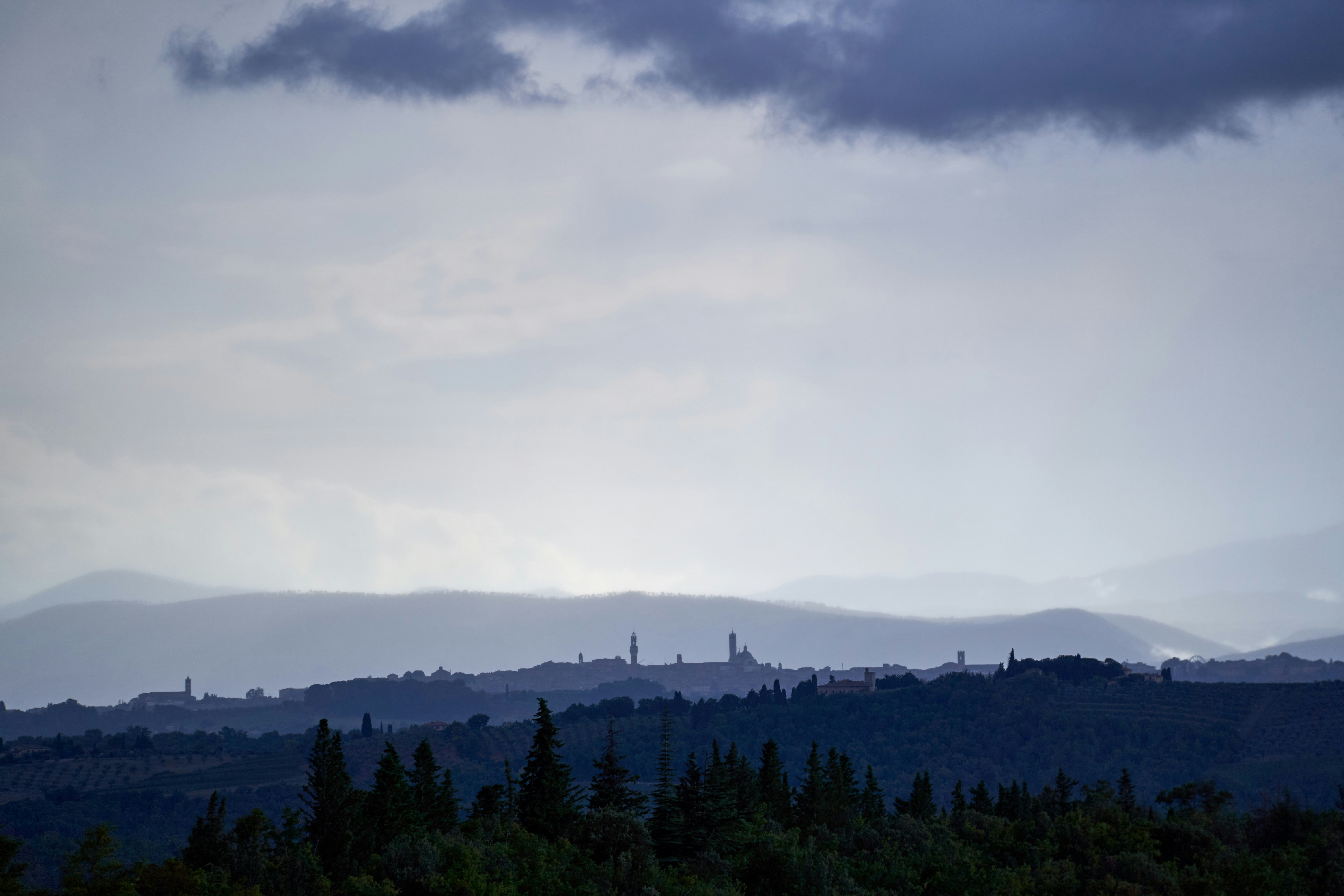 Photo by wolfgang_hasselmann