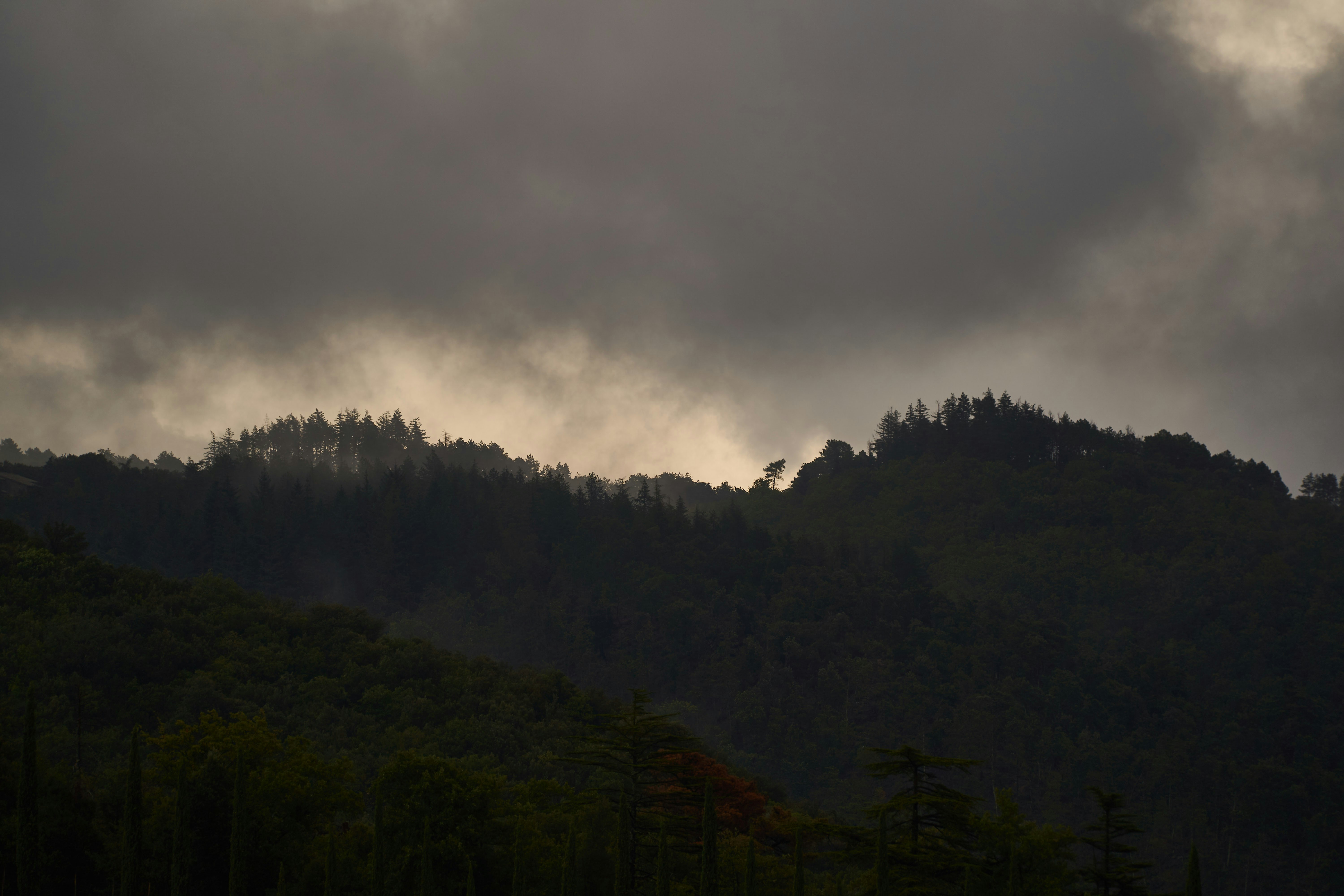 Photo by wolfgang_hasselmann