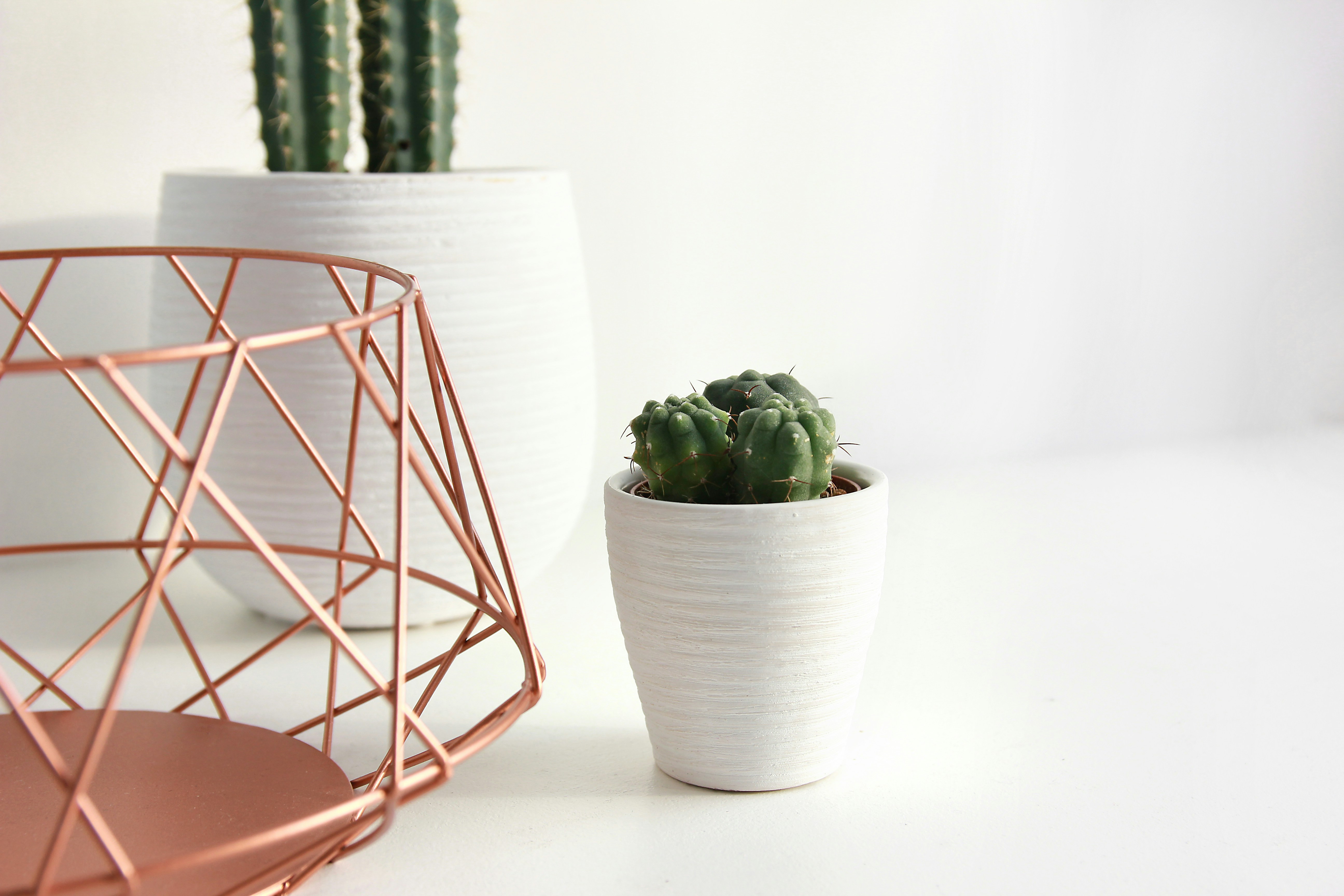 Muggar med tryck – hur en enkel mugg skapar långvarig exponering, flaggspel, vimpelspel, bunting, Handburgareflaggor, Cocktailflaggor, Tandpetarflaggor, fasadflagga, kioskflagga, trottoarpratare, Globalt Mål, Globala Mål, Globalt mål, globala målen kub, displaykub tryck, globala målen tryck kub, globalt mål tryck, skummkub, Saccosäck, eventmöbler, saccosäck, beanbag, mässbord, broschyrställ, rollup, Banderoll, öletiketter, vinetiketter, Banderoller, mässväggar, mässmonter, mässmontrar, beachflaggor, Expo, Print, Förpackningar, Etiketter, tryck, giveaways, öletiketter, etiketter, reklamprodukter, banderoller, dekal, dekaler, mässmontrar, profilkläder med tryck, reklamprodukter, giveaways, företagsprofilering, USB med tryck, kepsar med tryck, t-shirts med tryck, reflexer, isskrapor med tryck, beachflaggor, vattenflaskor med tryck, eventtält, tygvepor, broschyrhållare, arbetskläder med tryck, paraplyer med tryck, pennor med tryck, storformatsprint, flyers, dekaler, fönsterfolie, forex, hyllvippor, broschyrer, etiketter, öletiketter, produktetiketter, vinetiketter, livsmedelsetiketter, reklamkläder, reklamtryck, tryckeri, trycksaker, reklamartiklar, tryckta produkter, storformat, exponeringsmaterial, digitaltryck, rollups med tryck, tryckta banderoller, mässmaterial, expomaterial, profilreklam, varumärkesprofilering, mässväggar, takdisplayer, expo tryck, print tryck, displaymaterial, reklamflaggor, flaggor med tryck, mobil mässmonter, tryckt marknadsföring, textiltryck, kundgåvor, logotyptryck, specialtryck, ExpoTryck, expotryck.se, rollups, banderoller, eventmöbler, eventstol, eventtält, vepor, vepa, flaggor, flagga, reklamflagga, logotypflagga, företagsflagga, företagsflaggor, distplayställ, takdisplay, beachflagga, beachflaggor, bas, markfäste, vinylbanderoll, meshbanderoll, banderoll, pvc banderoll, takdisplay, displaykub, kub med tryck, display kub, displayskylt, displayställ, informationsskylt, windtracker, windtracker flagga, hög flagga, windtracker system, windtracker-kit, windtrackerkit, windtrackersystem, snäppram, trappa snäppram, snäppramlist, displayskyltar, displayställ, butik, forex, forexskylt, dörrhängare, dörr hängare, etiketter, etiketter på rulle, trycka etiketter,