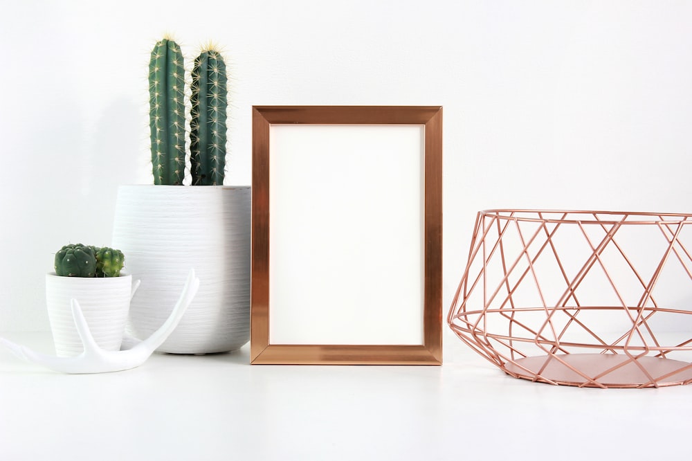 a frame and a plant in a pot