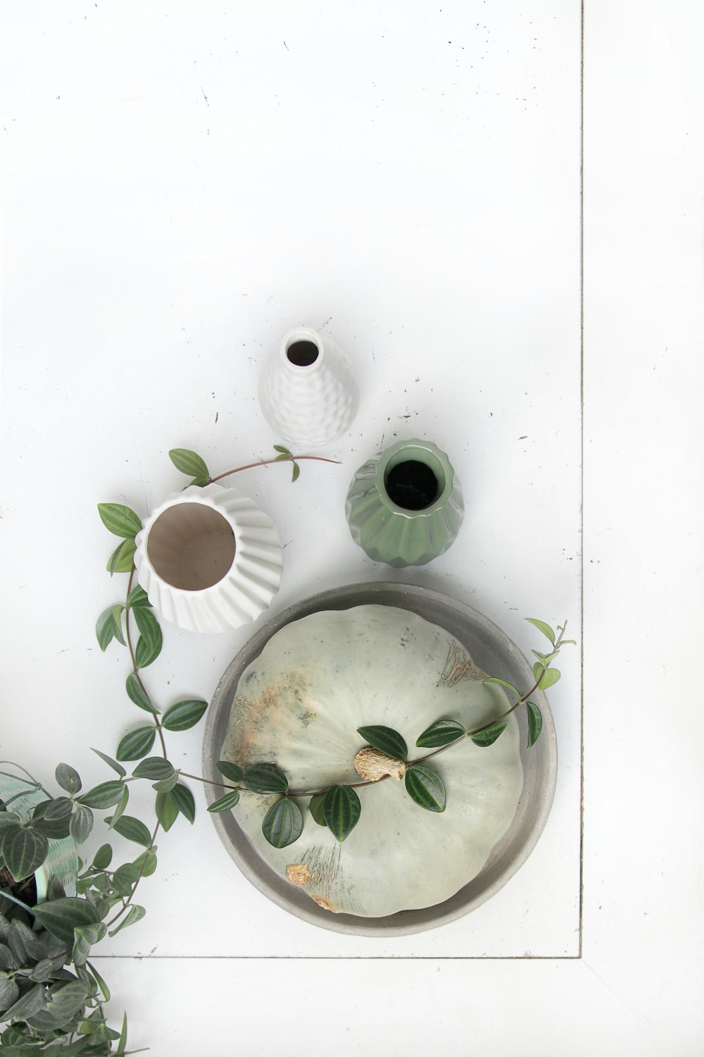 a couple of white bowls with green plants and a white wall