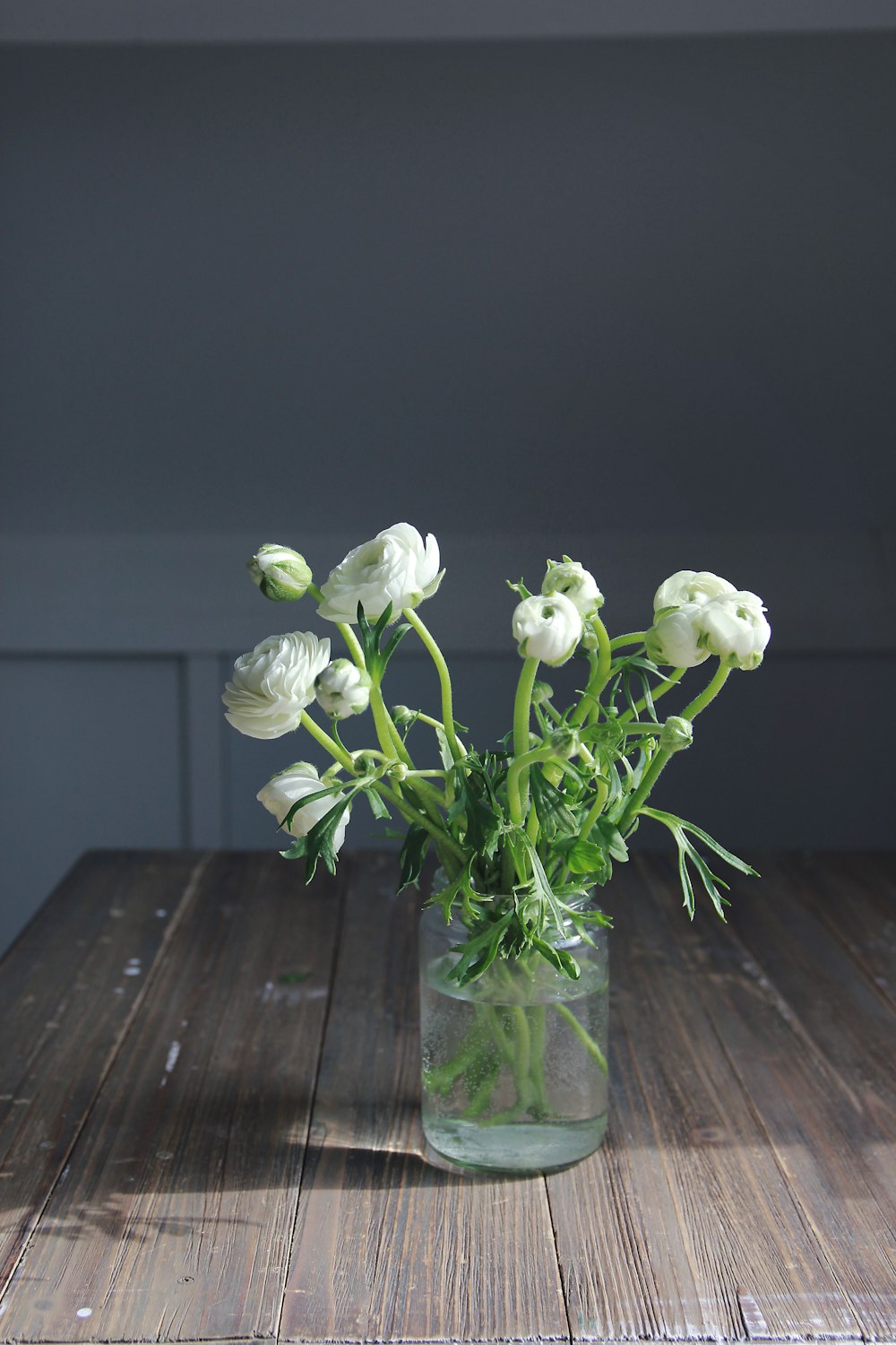 a vase with white flowers