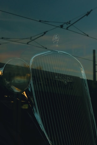 Close-up of the Škoda logo shining on the front grille under soft daylight.