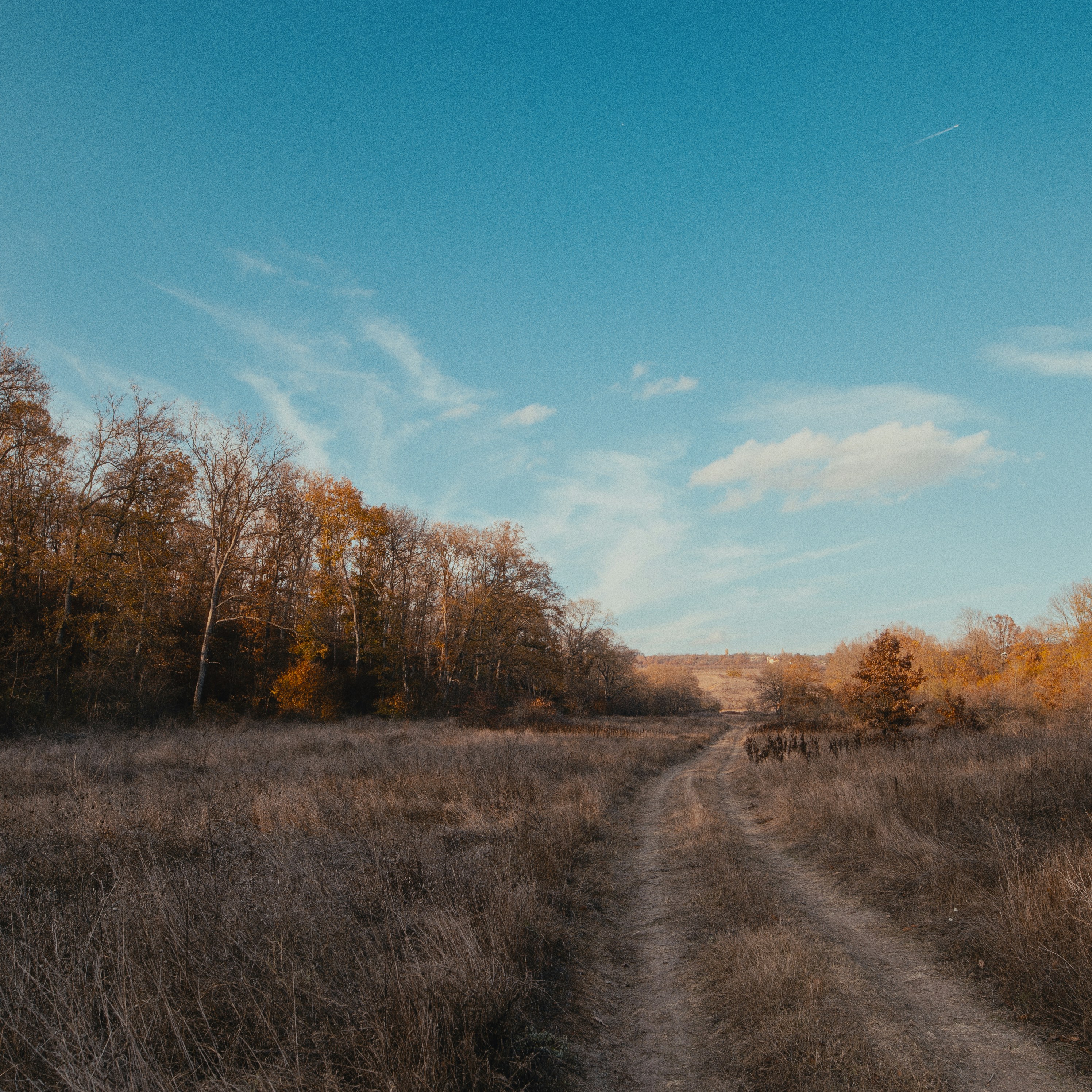 Photo by evil_bumblebee