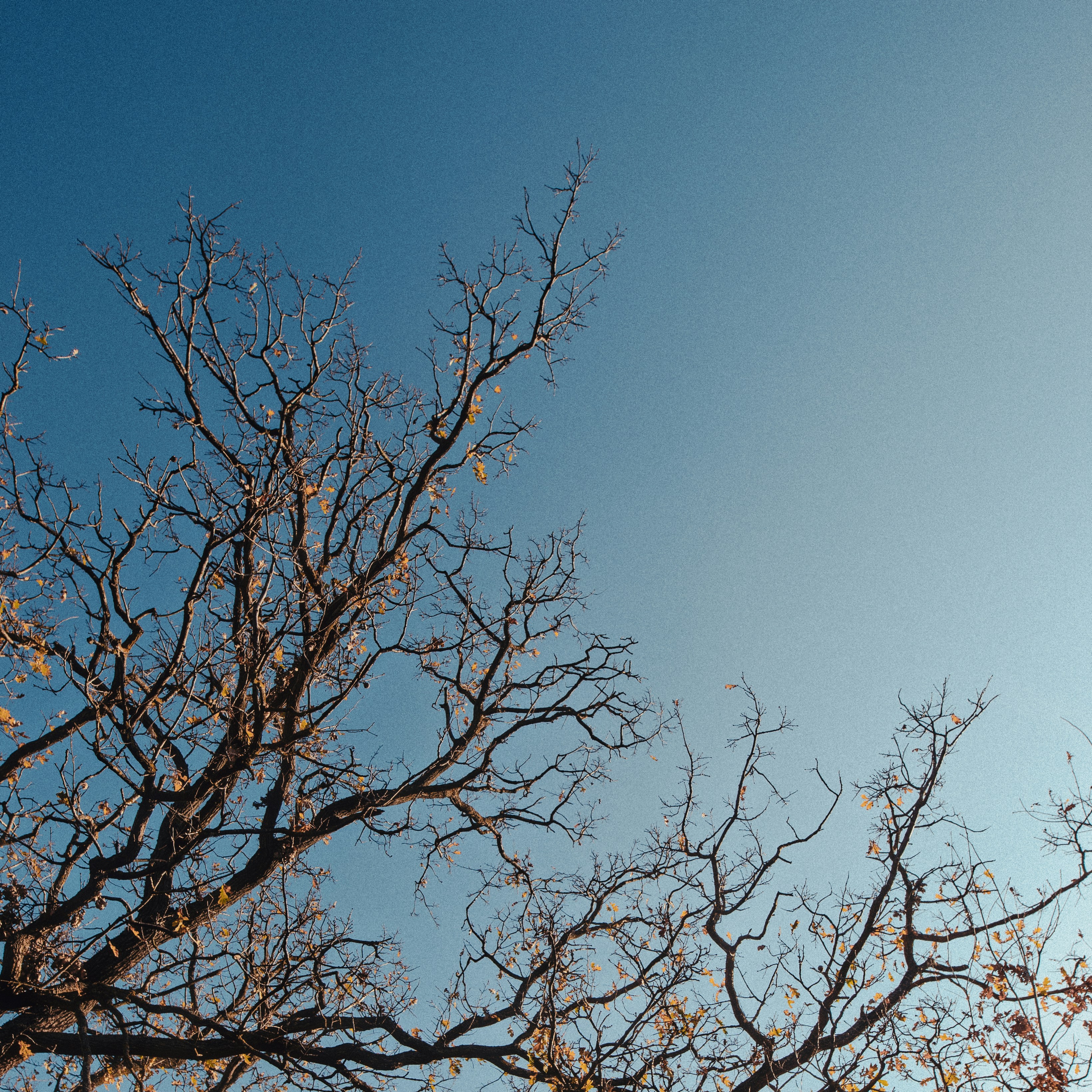 Photo by evil_bumblebee