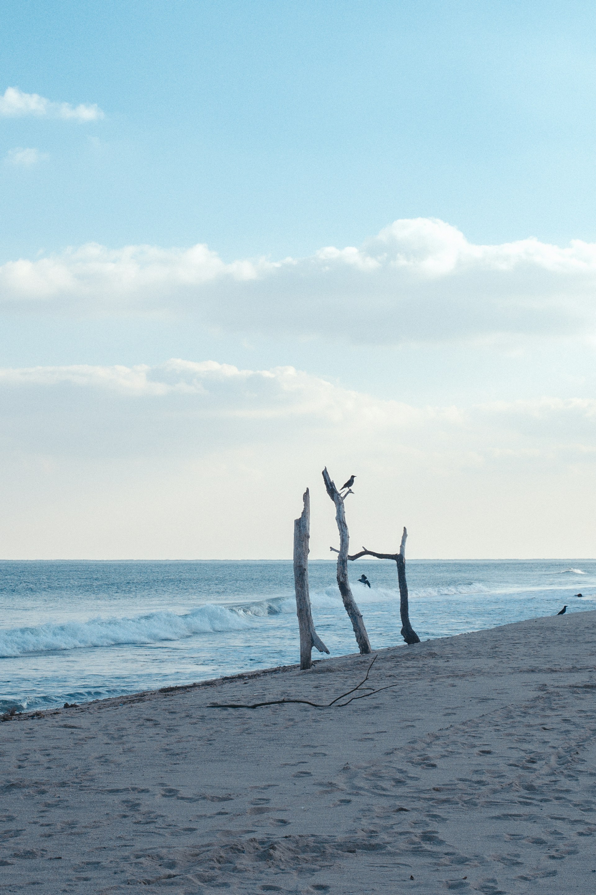 Photo by evil_bumblebee