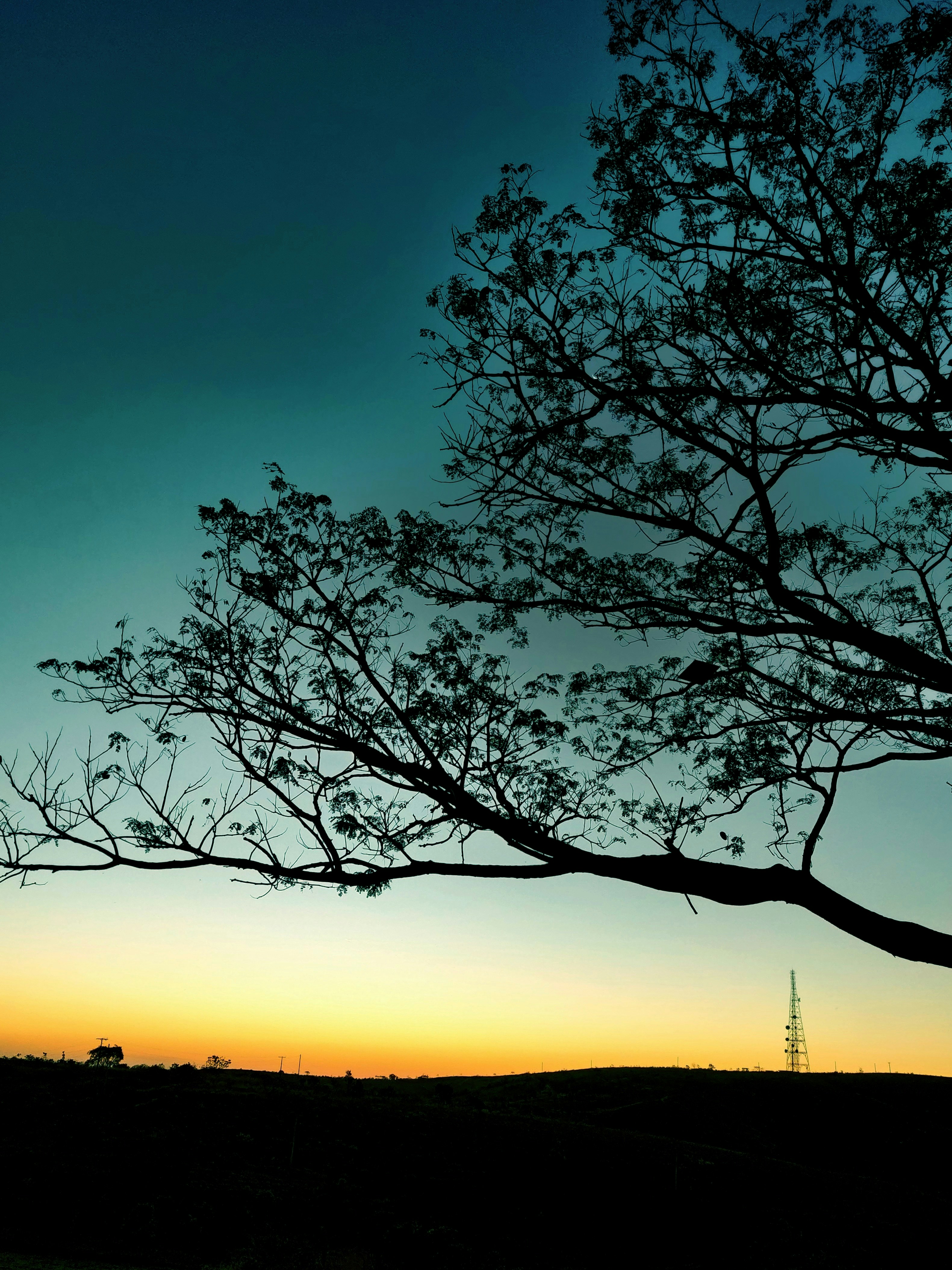 Photo by andreogando