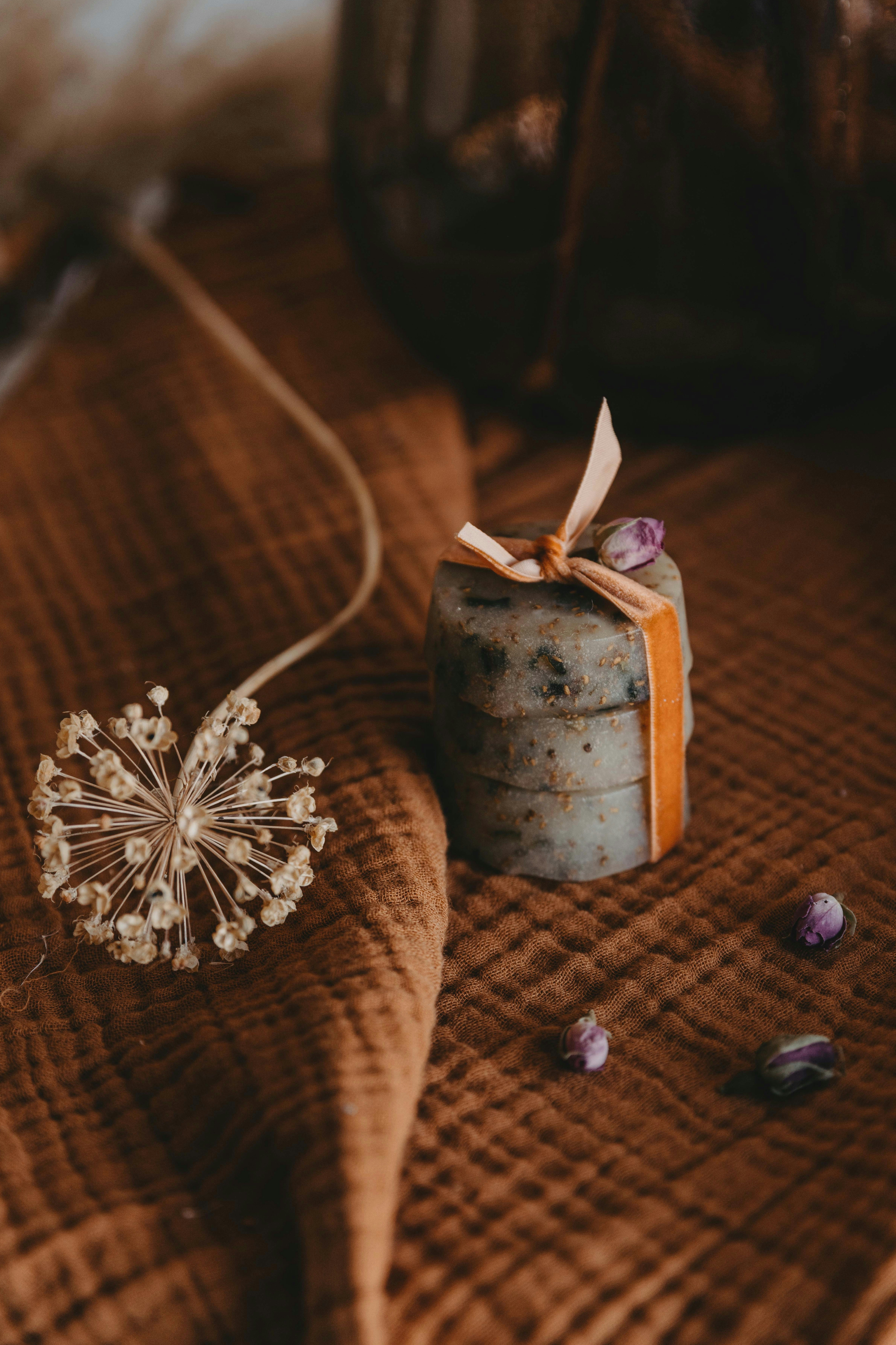 Photo by anitaaustvika