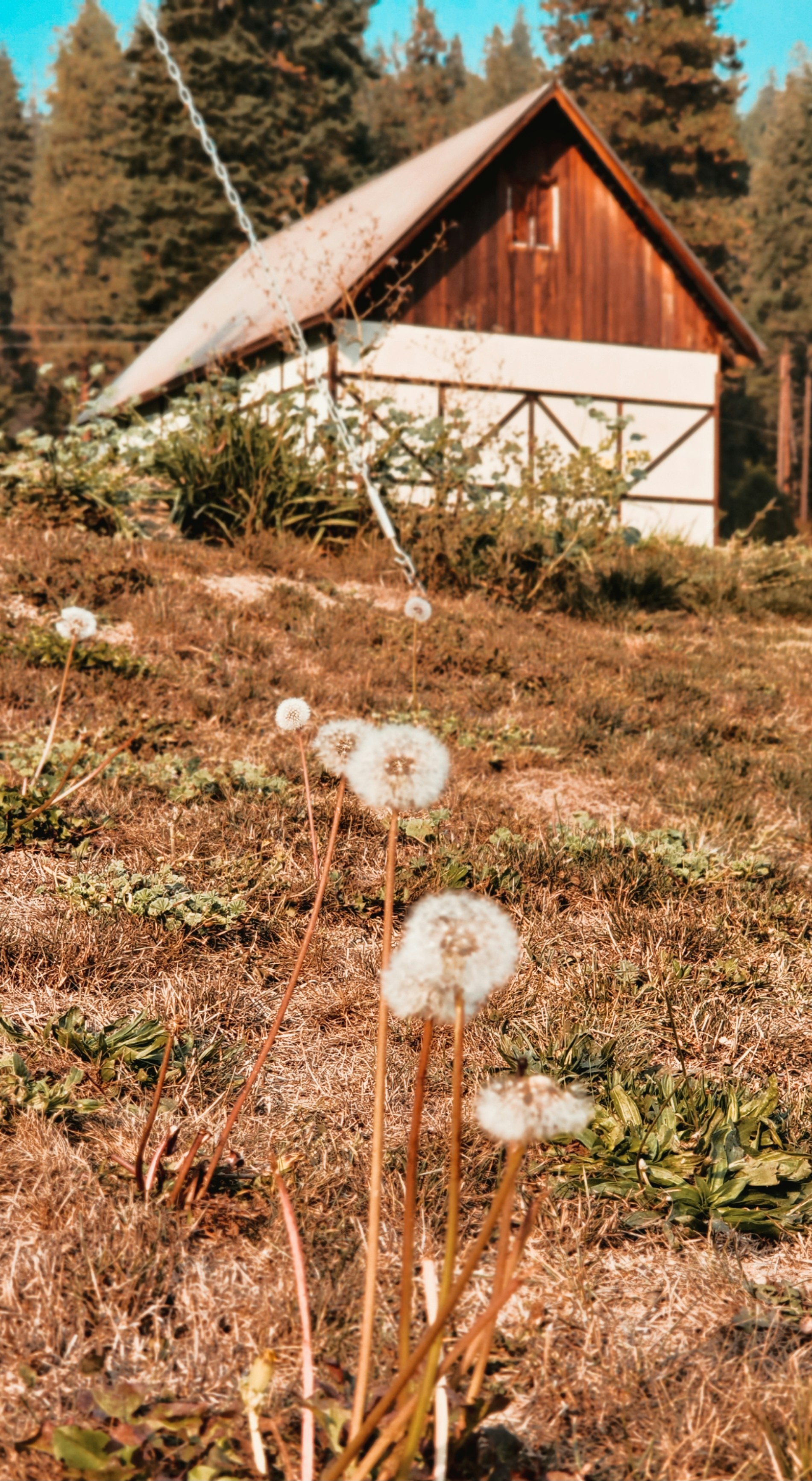 a house with a few white balls in front of it