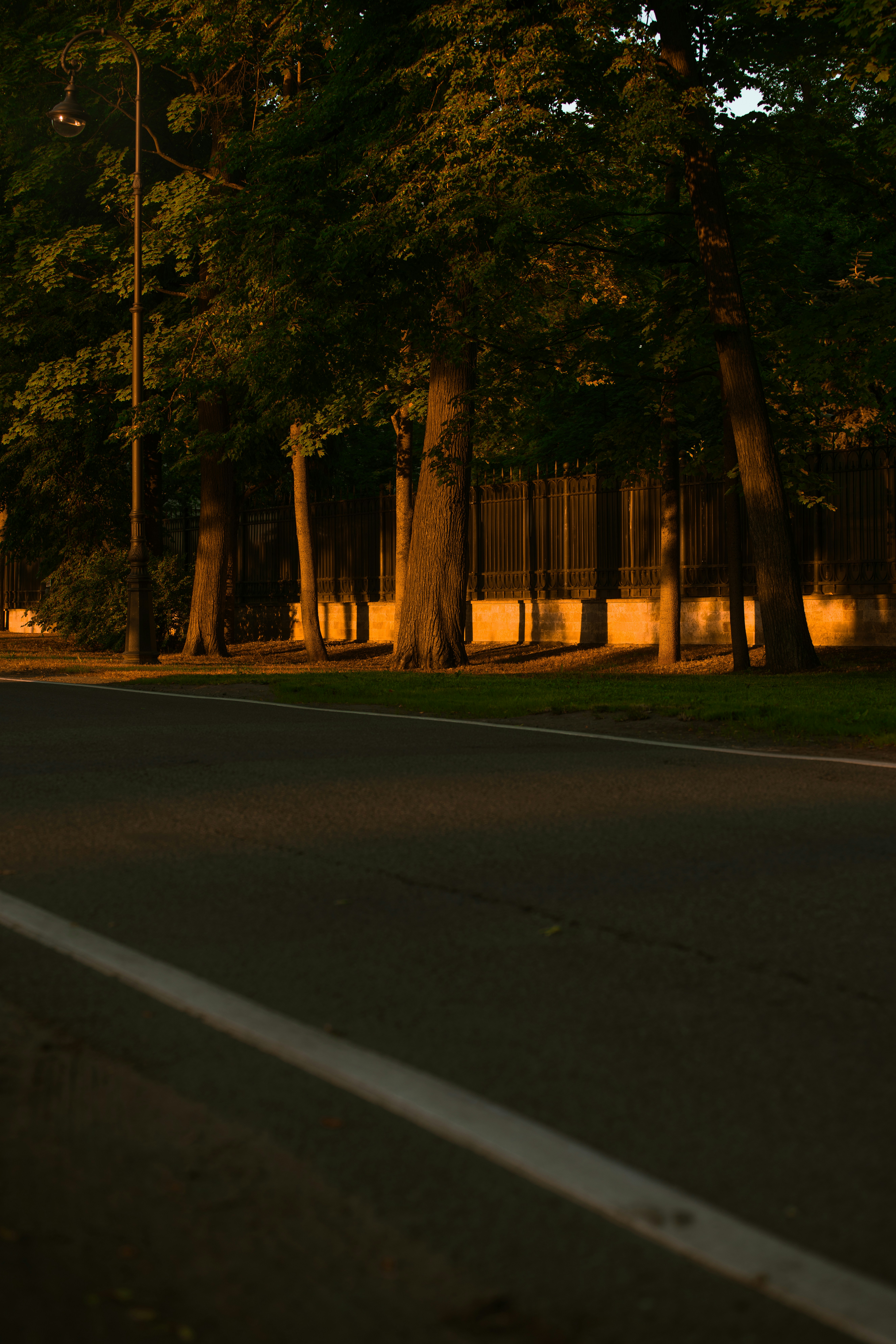 a road with trees on the side