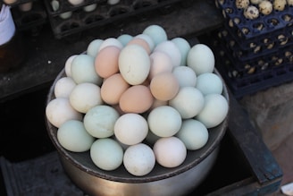 a group of eggs in a basket