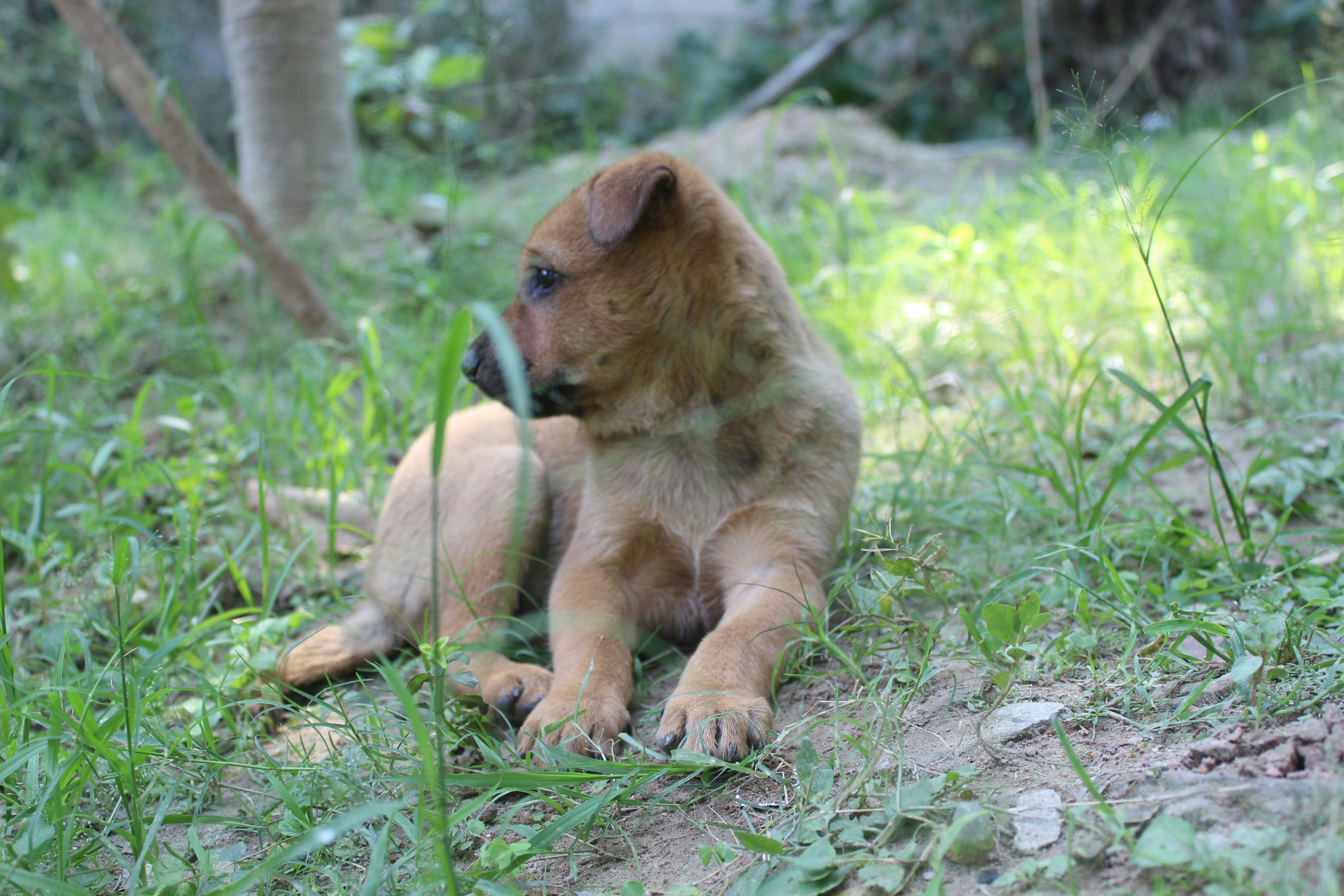 Photo by 11anamulhasan