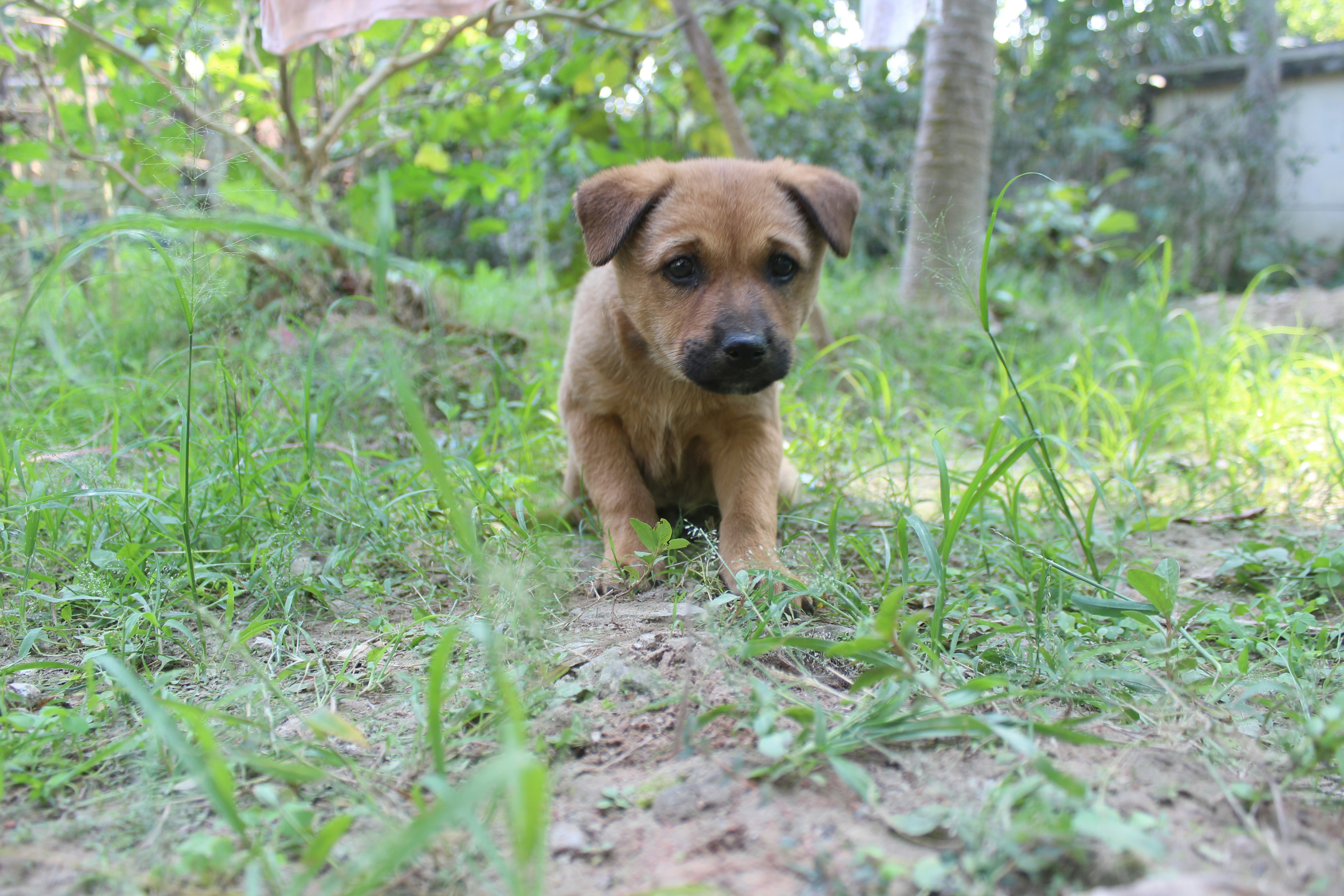 Photo by 11anamulhasan