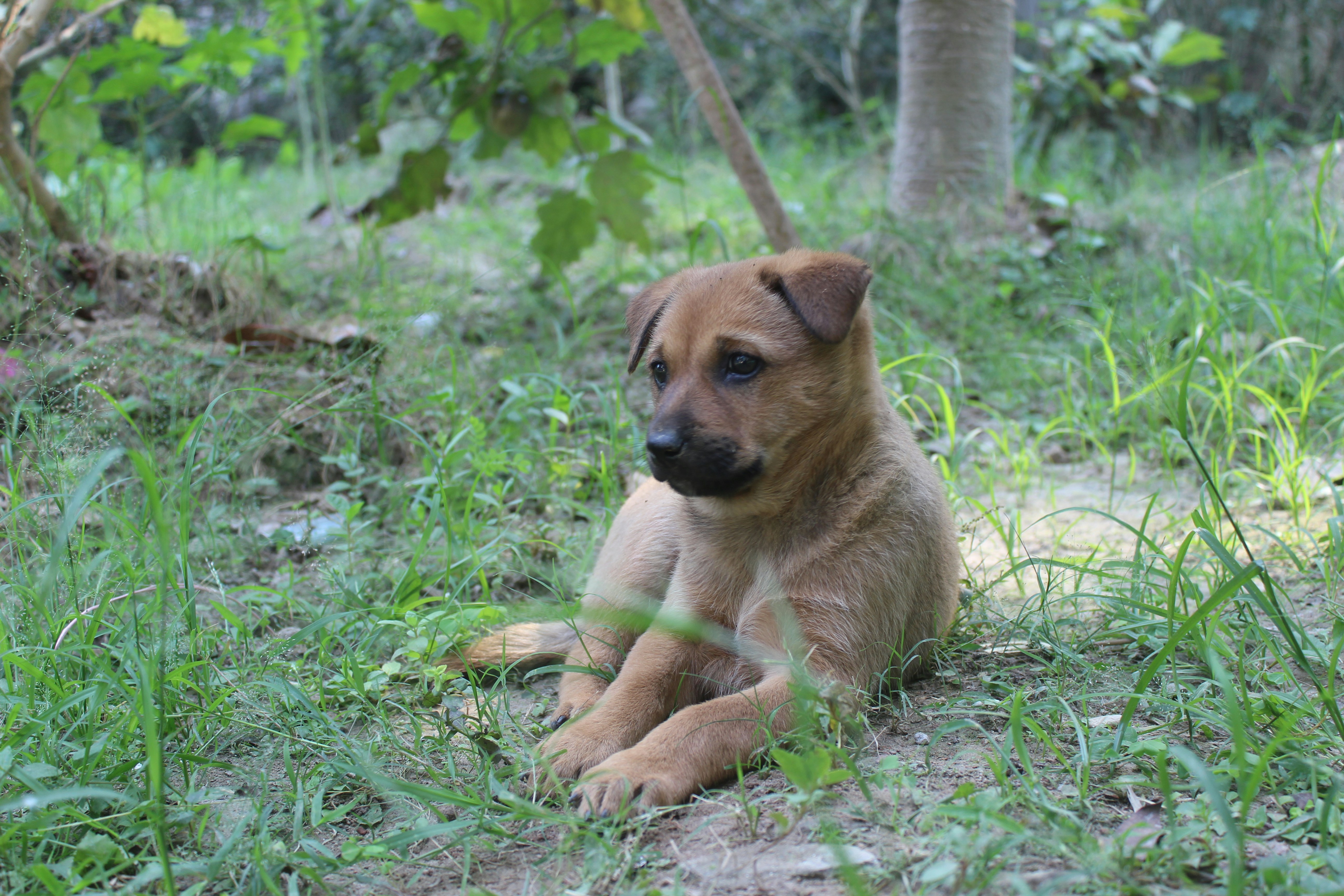 Photo by 11anamulhasan