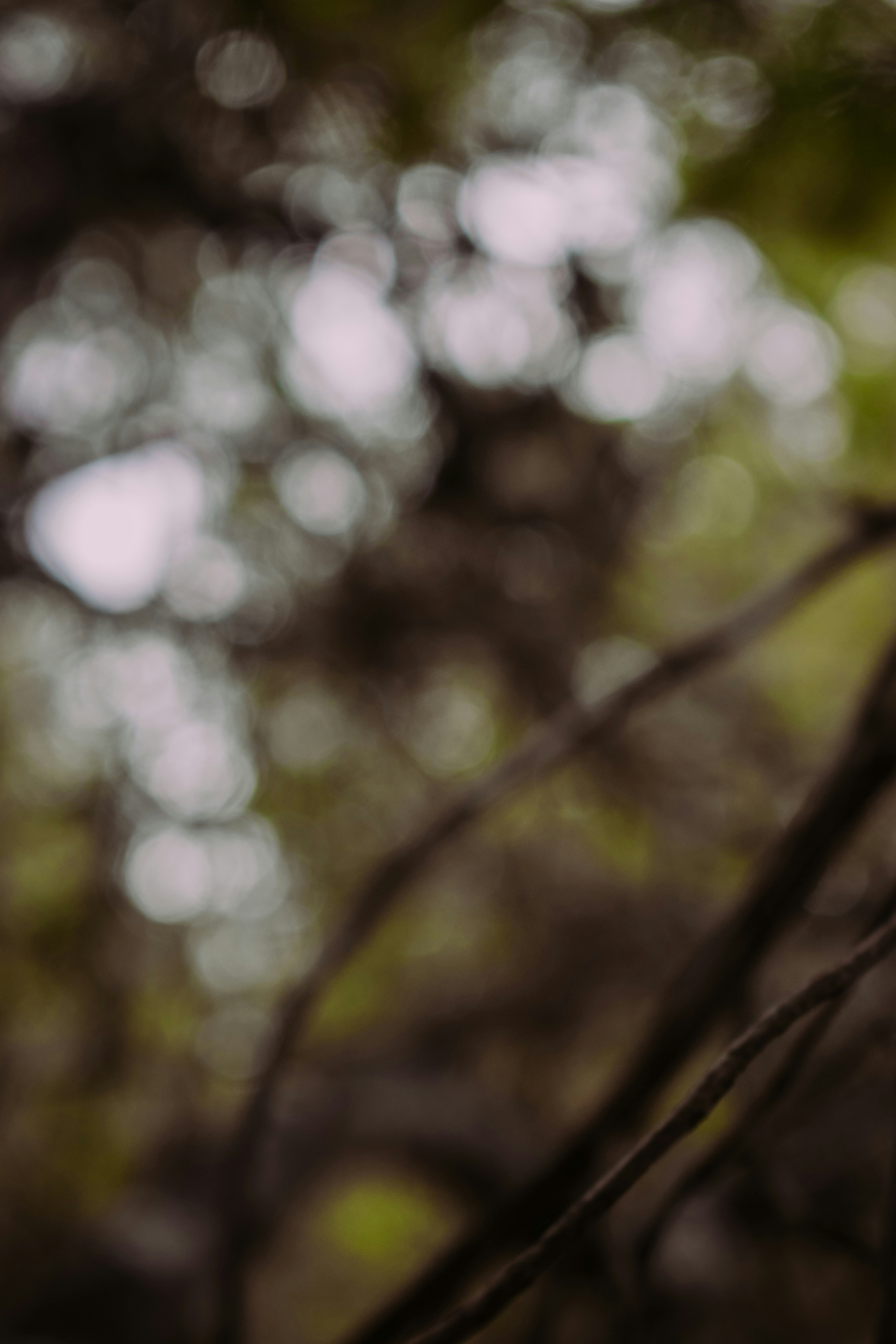 Photo by bilal_ayadi