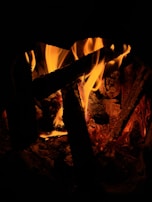 A wood stove crackling with bright flames, casting dancing shadows on the walls.