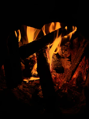 Warm glow of a crackling fire burning bright in a cozy home setting.