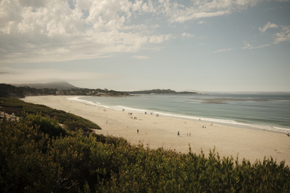 a beach with people on it