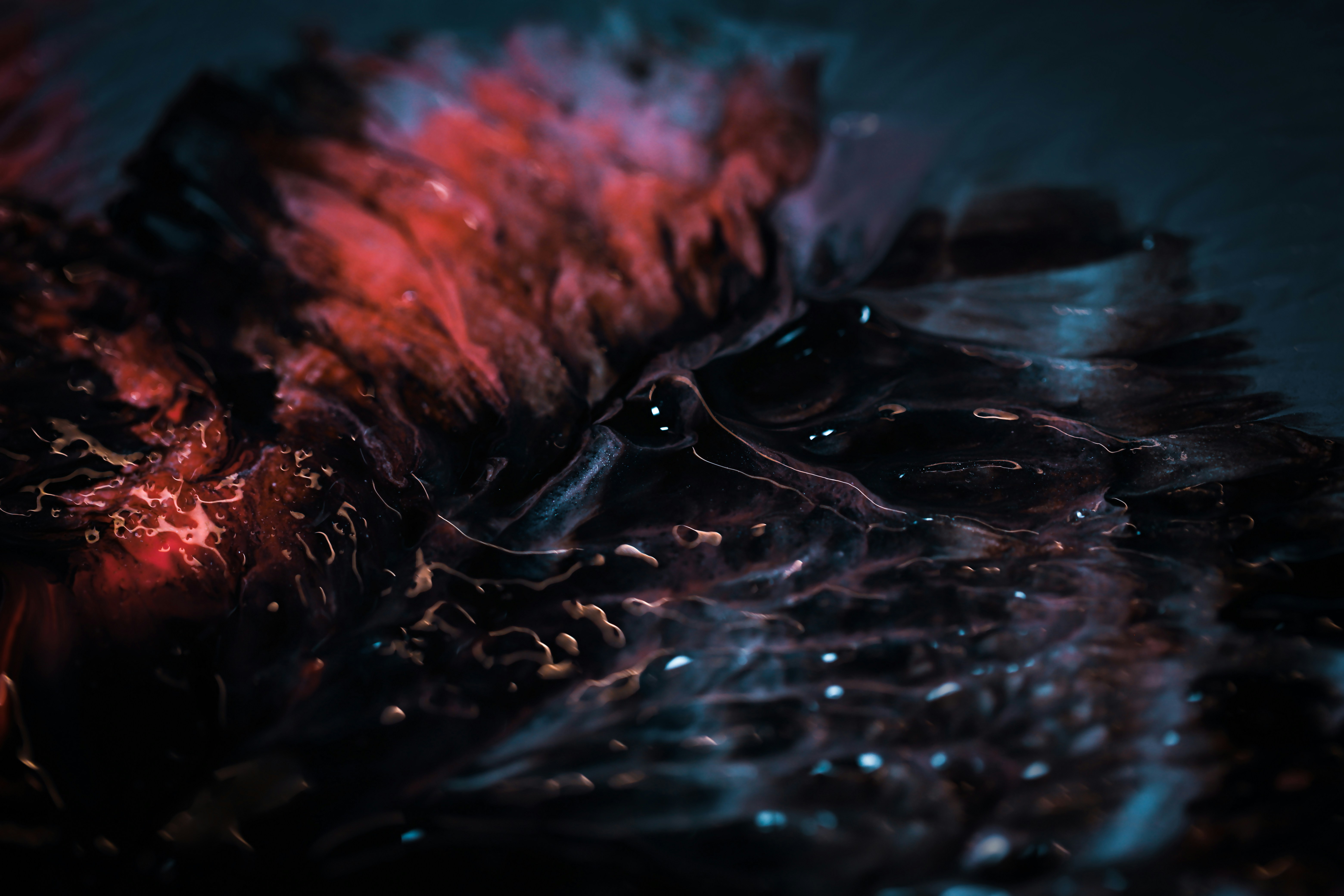 a close-up of a fish