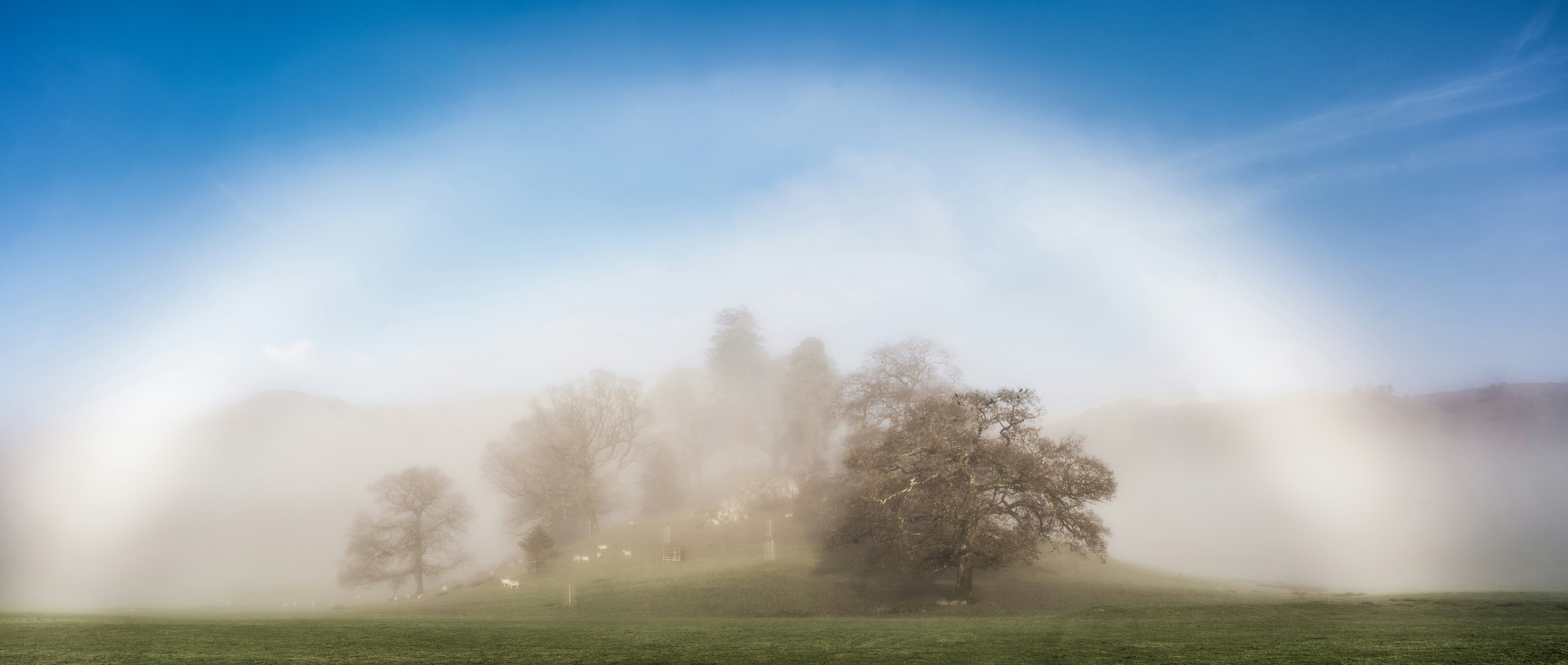 The Science of Rainbows vs. Fogbows - San Francisco Bay double rainbow fog