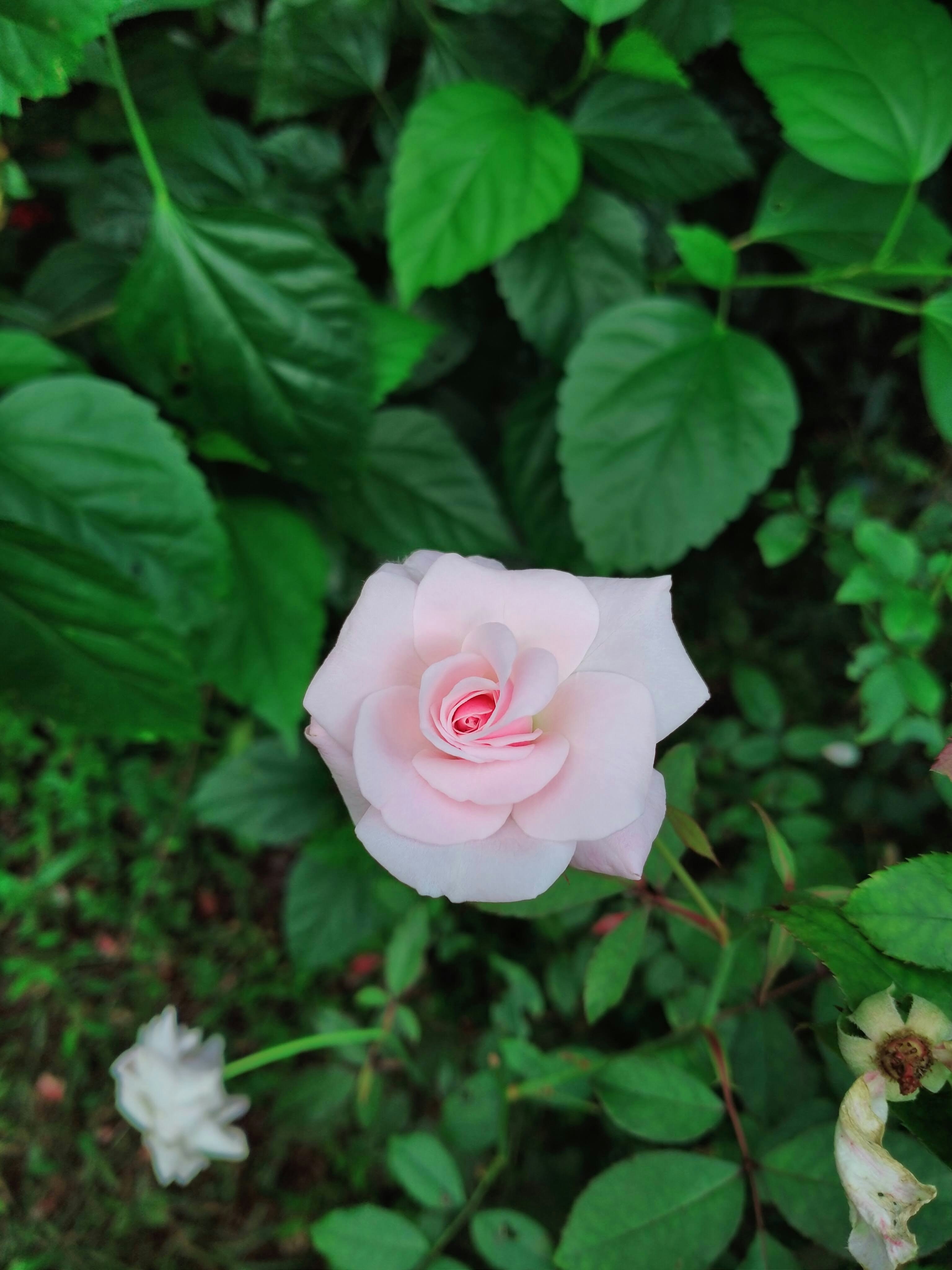 Photo by shwethus_photography