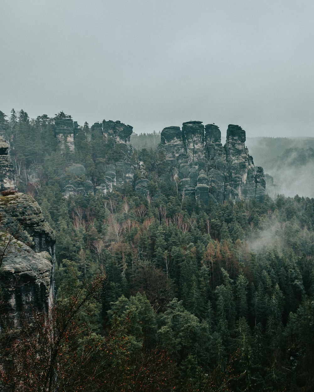 eine felsige Klippe mit Bäumen darauf