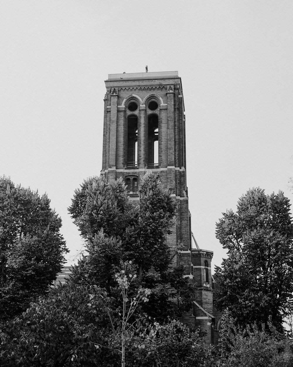 a tall tower with trees around it