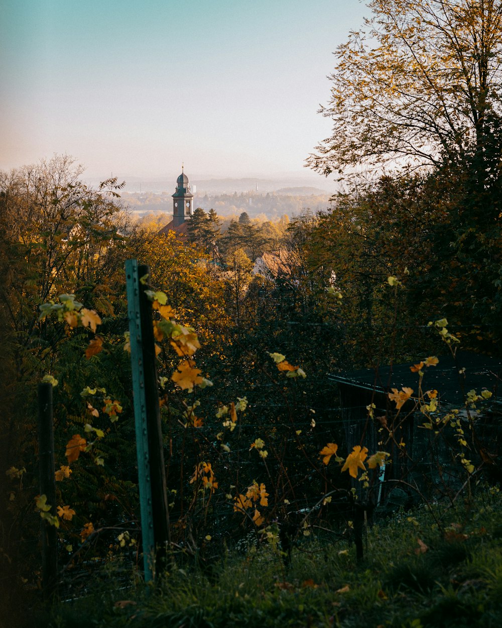 a garden with a lighthouse in the distance