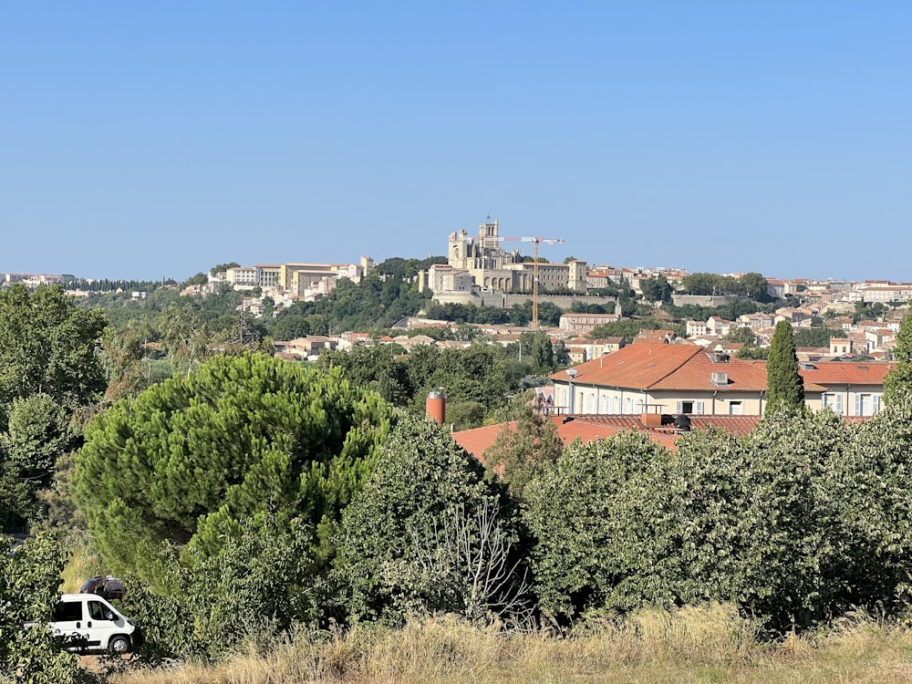 a group of trees and buildings