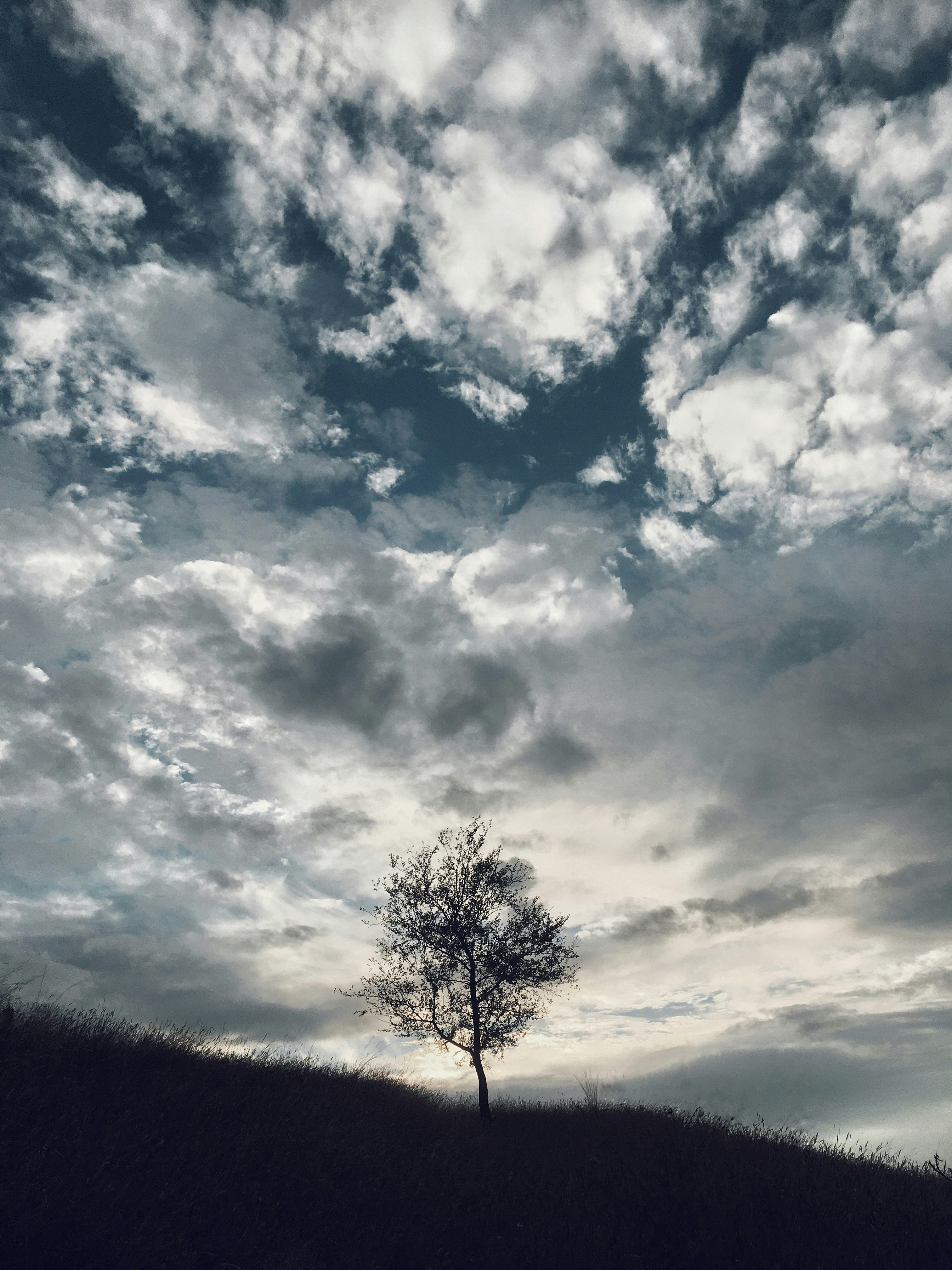 Photo by benjamindem