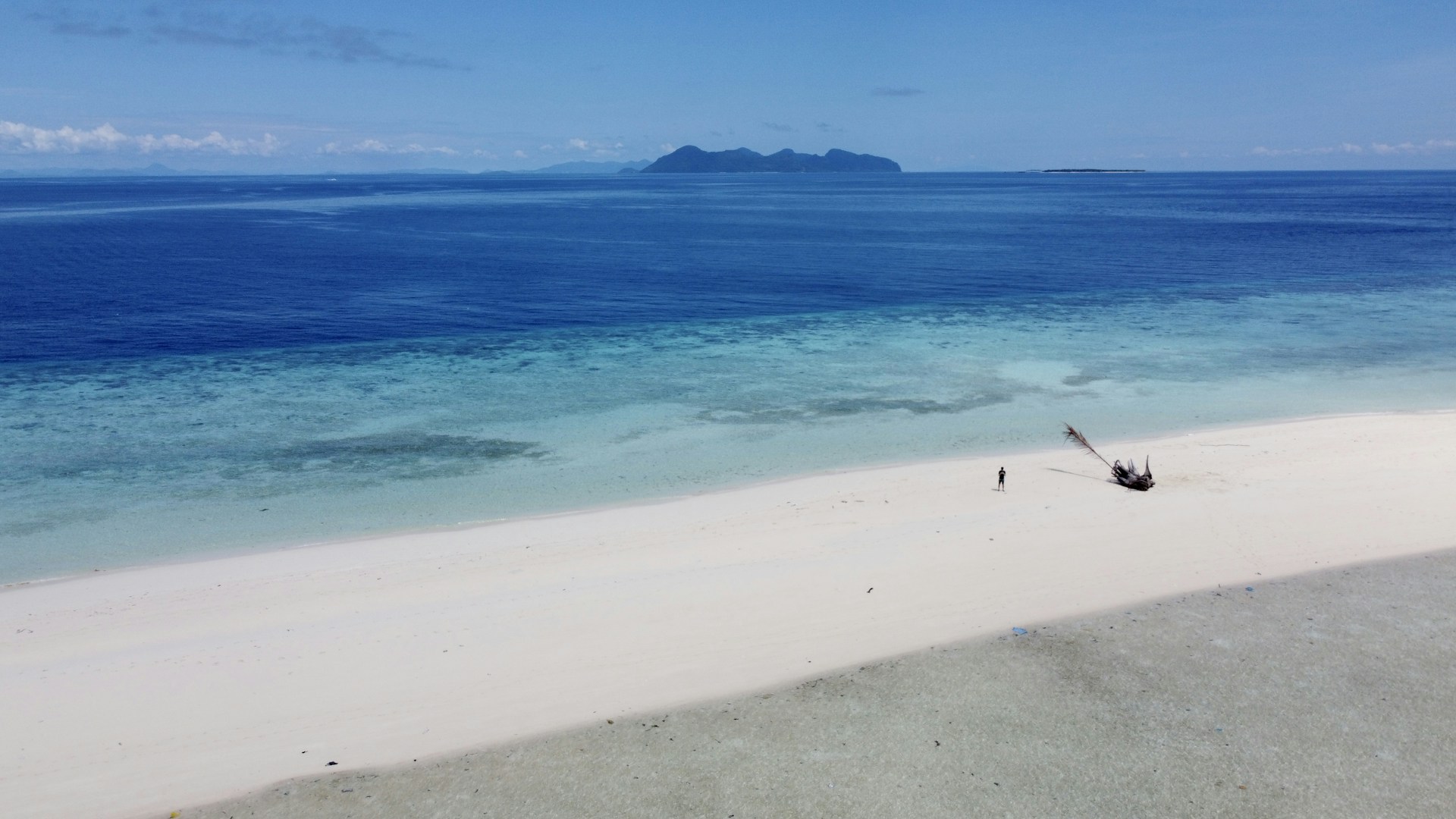 Island Hopping & Coral Reefs