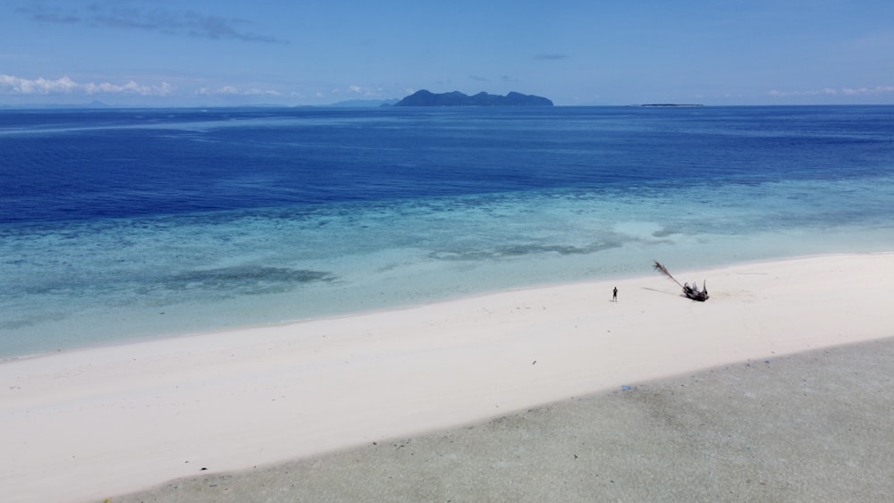 a beach with a body of water