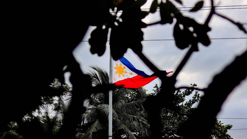 a flag on a pole