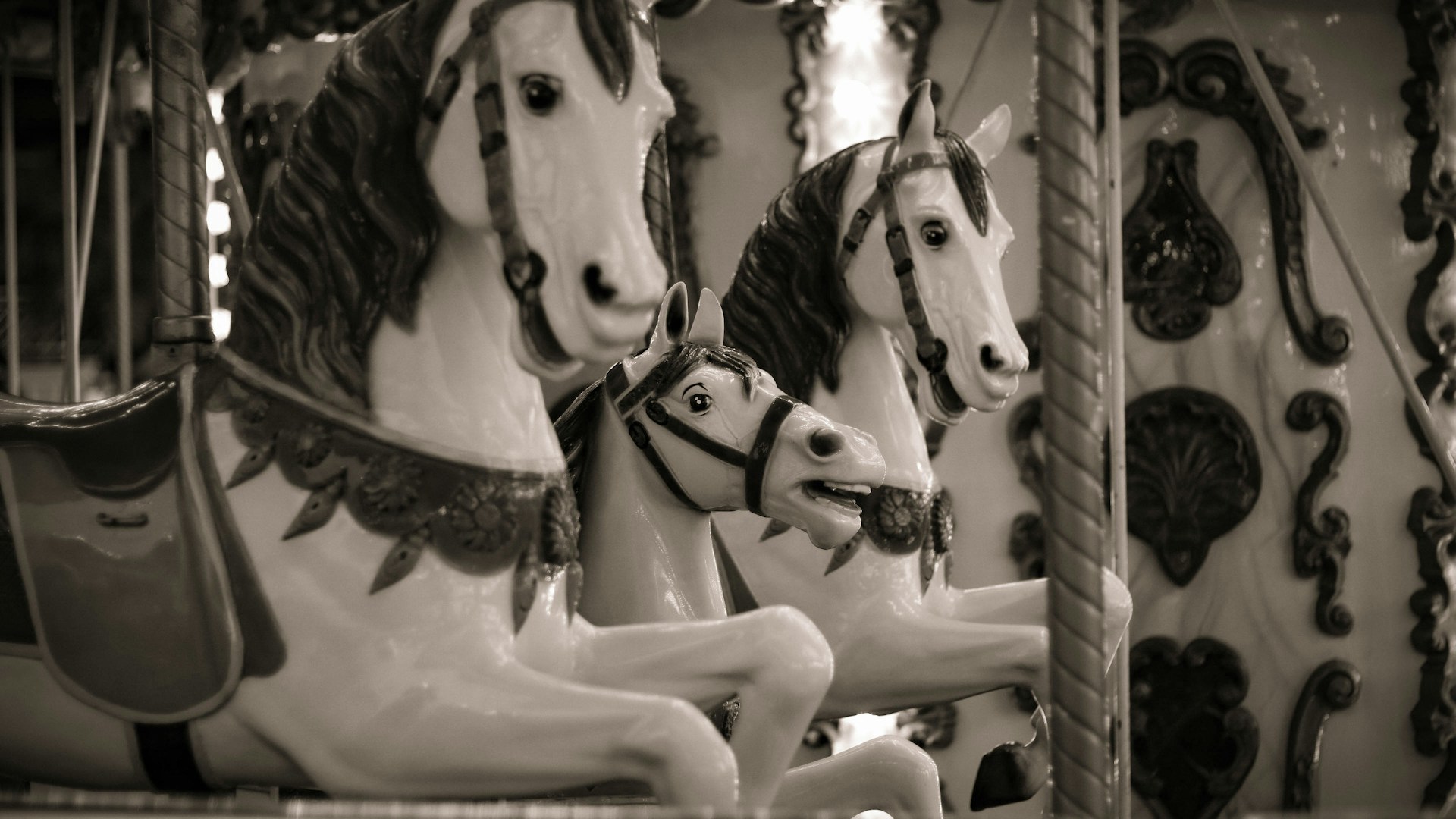 Close-up of a seamless scrolling carousel with colorful photos aligned in a single row.