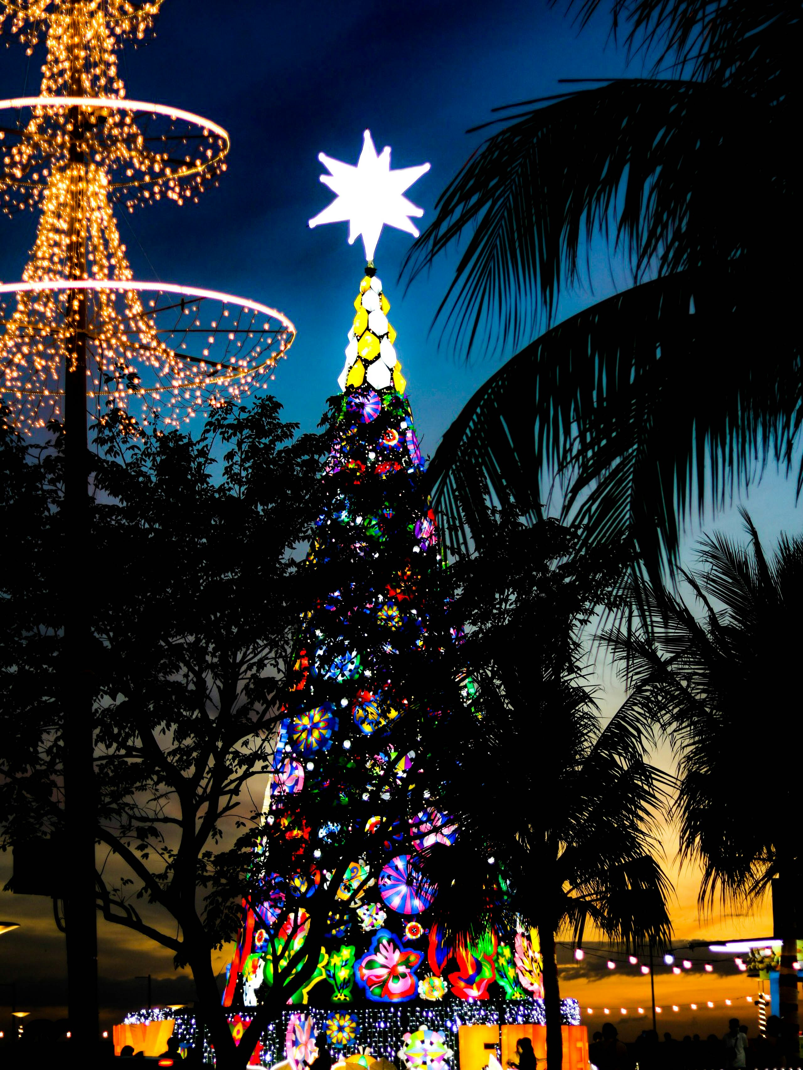 Tuesday - Dec 23, 2025