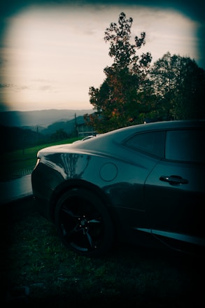 A sleek car parked by a scenic road ready for rental.