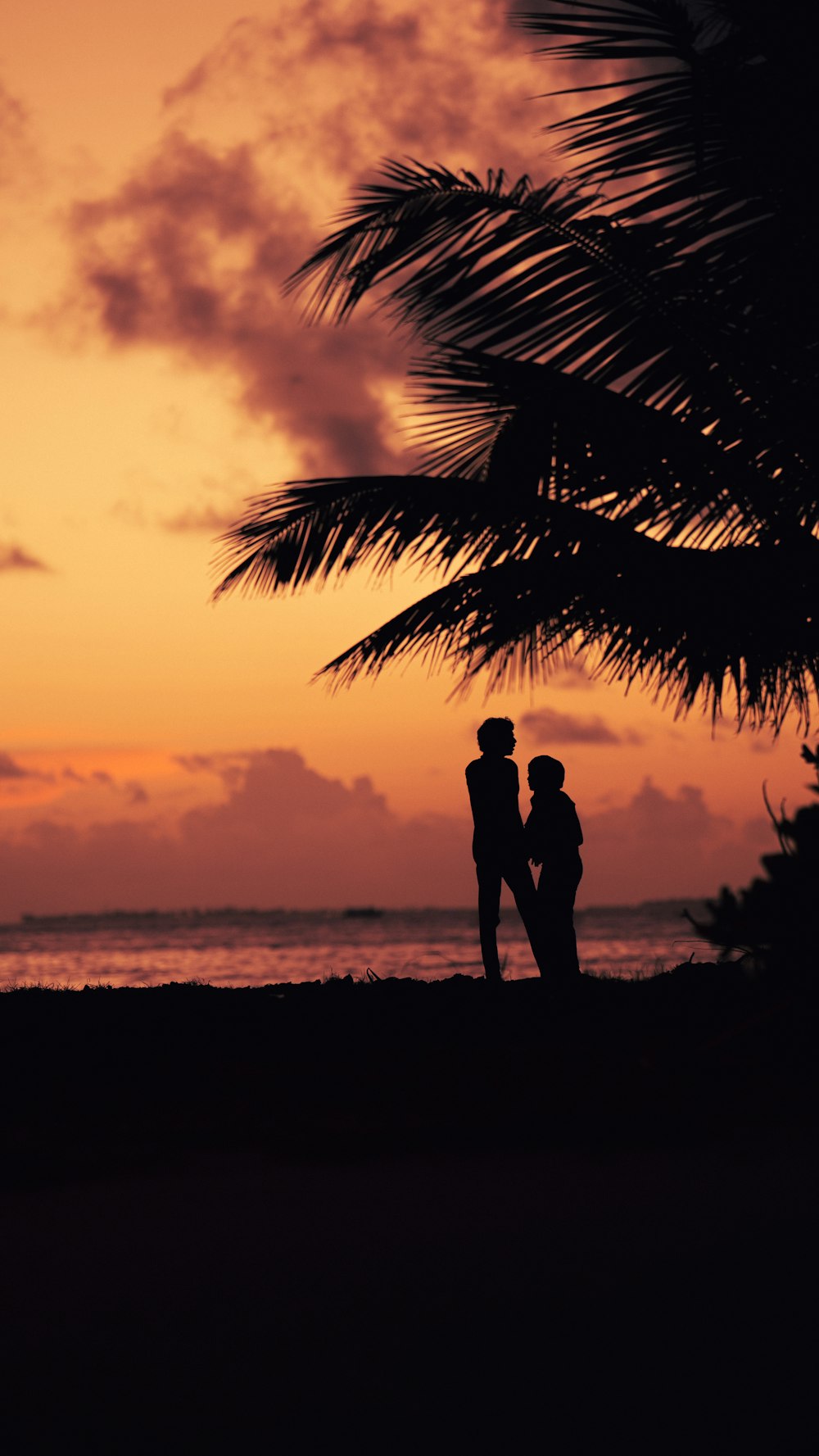 a couple of people standing under a palm tree on a beach