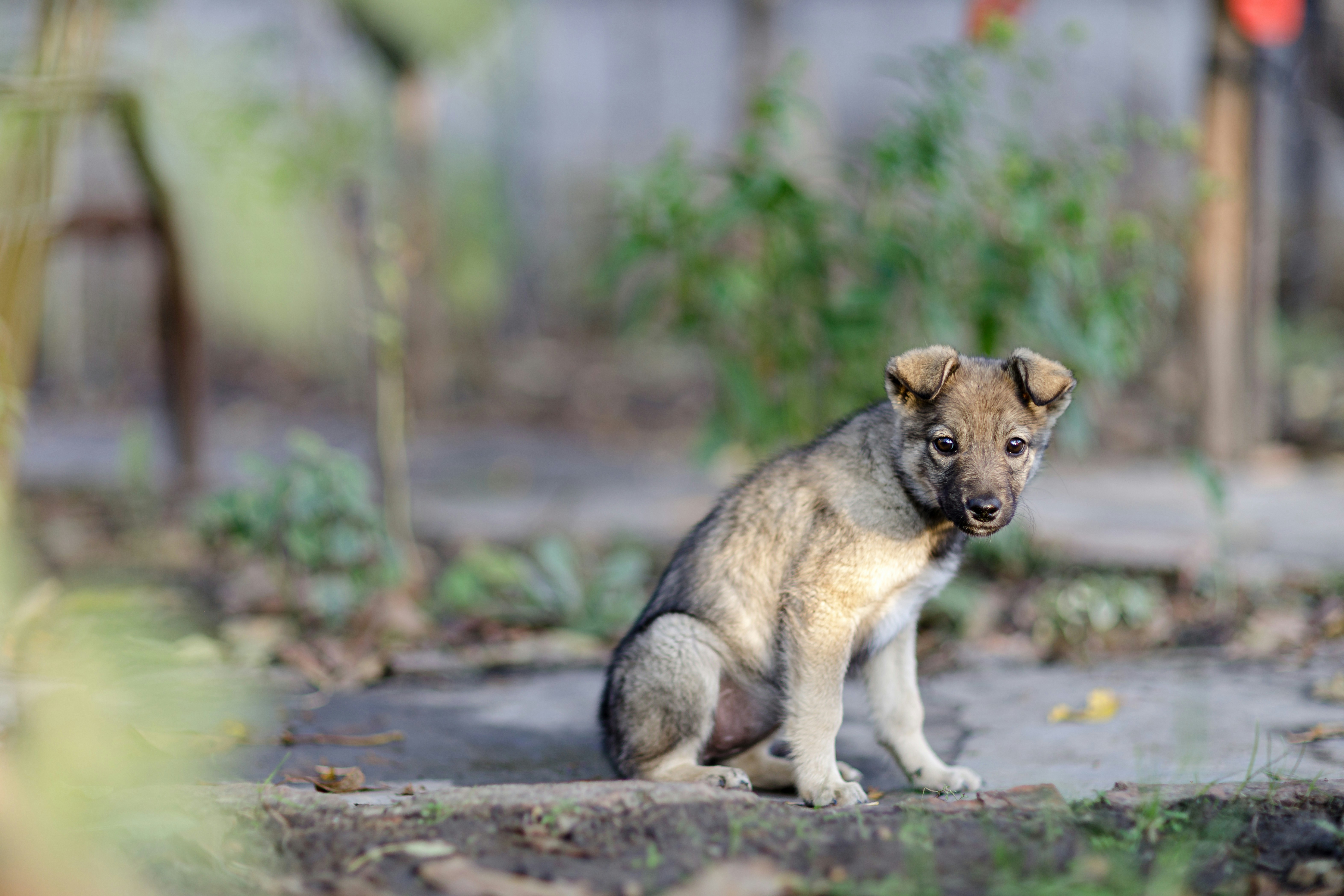 Photo by malygos6000