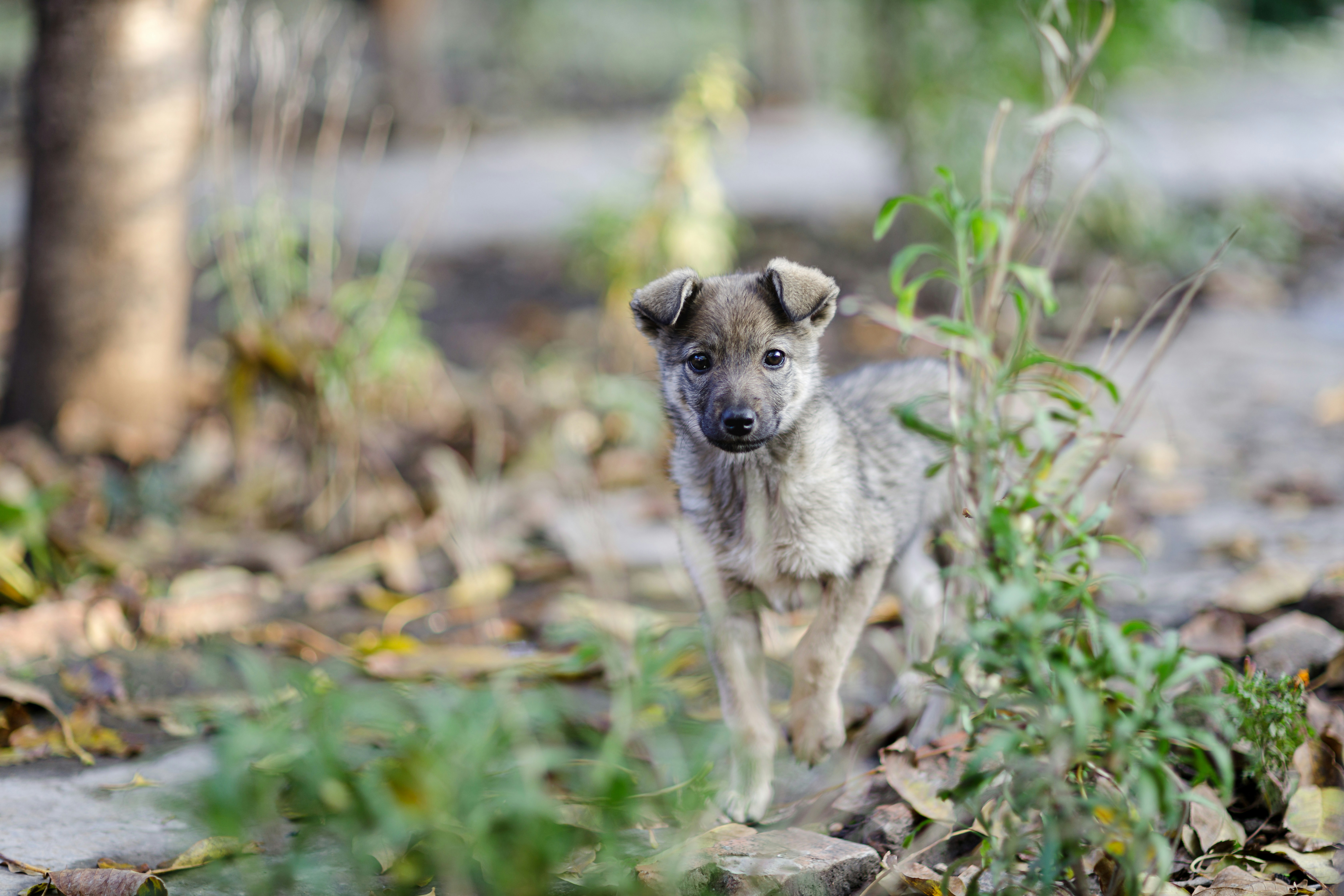 Photo by malygos6000