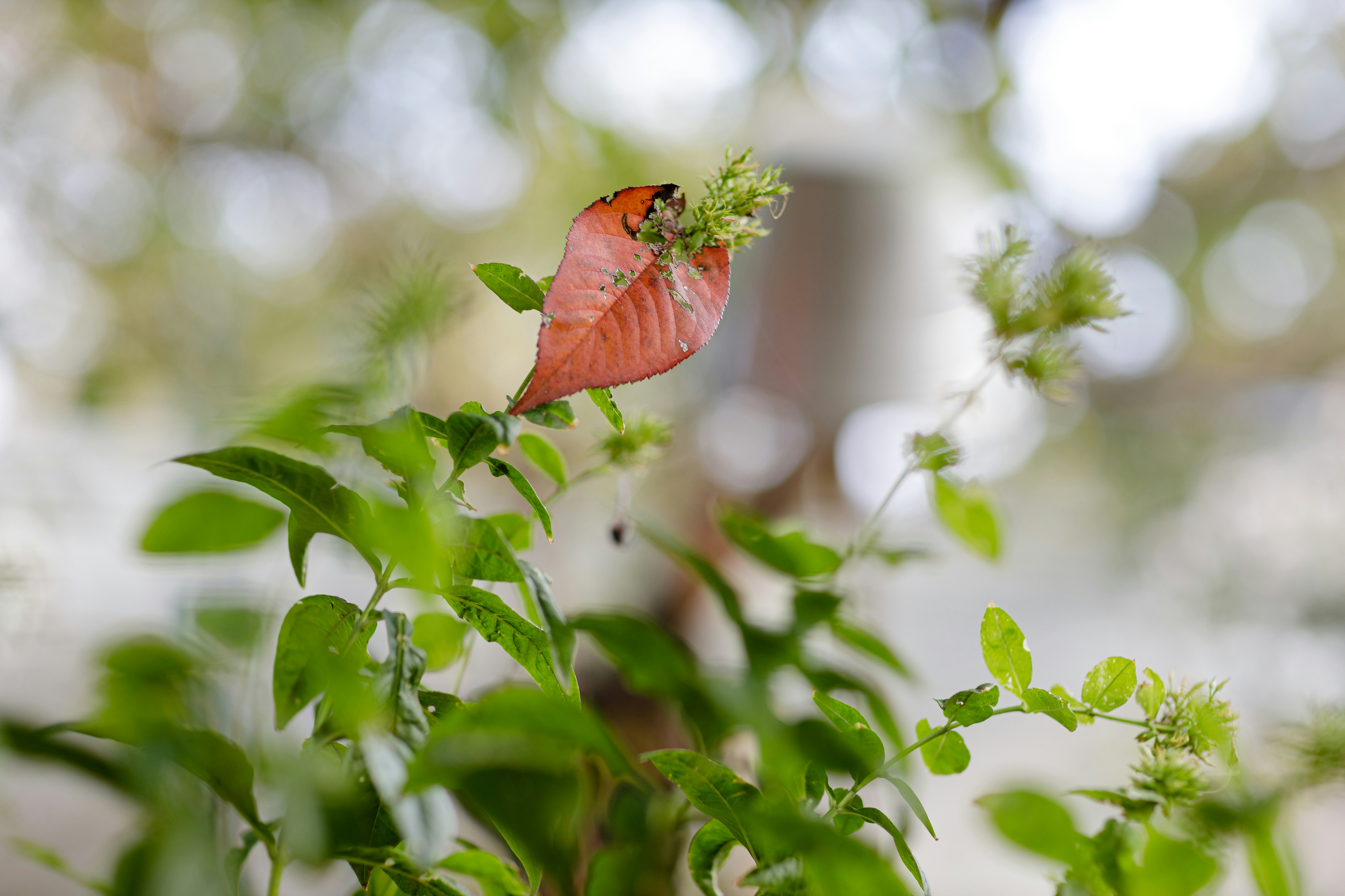 Photo by malygos6000