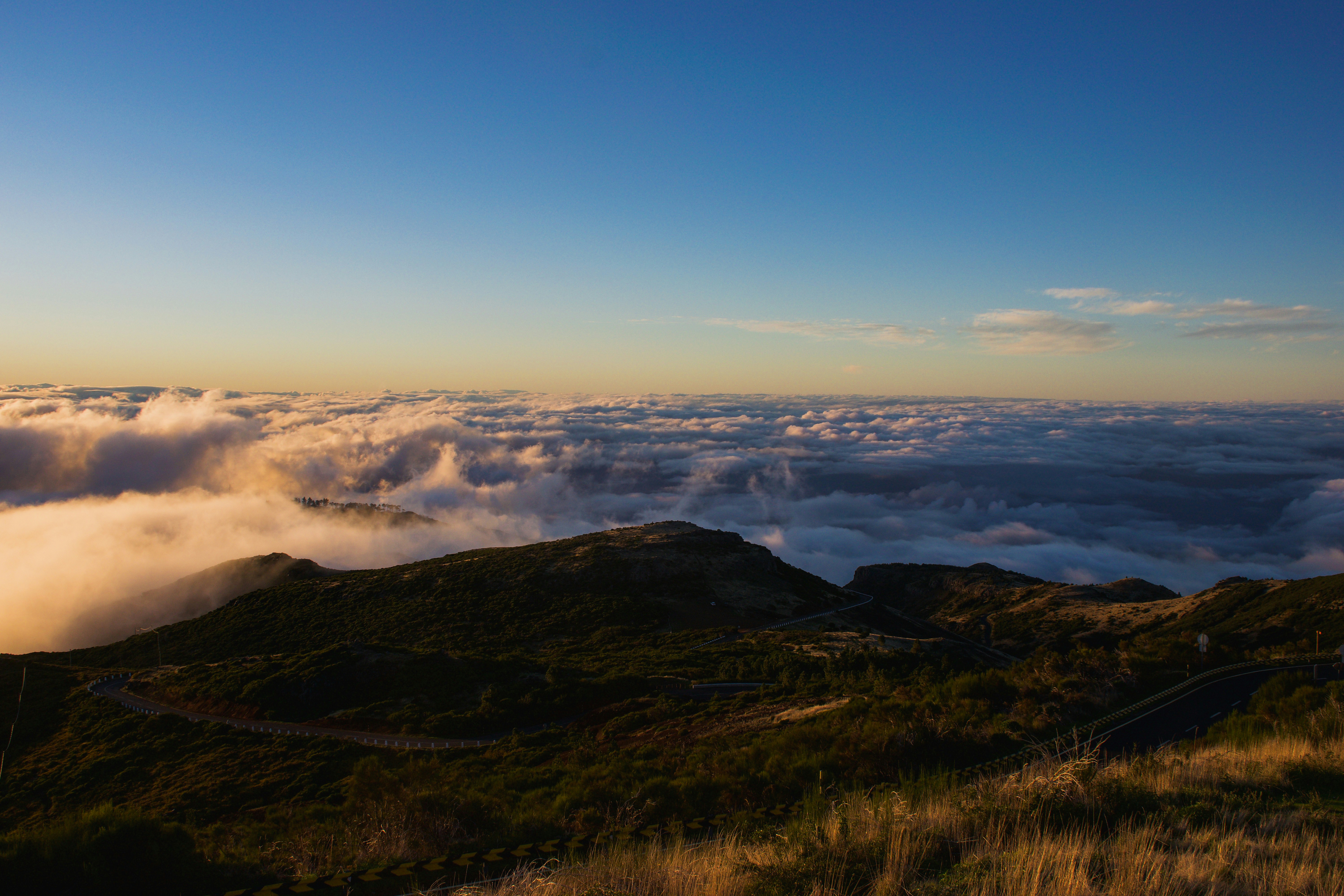 Photo by wheresalina