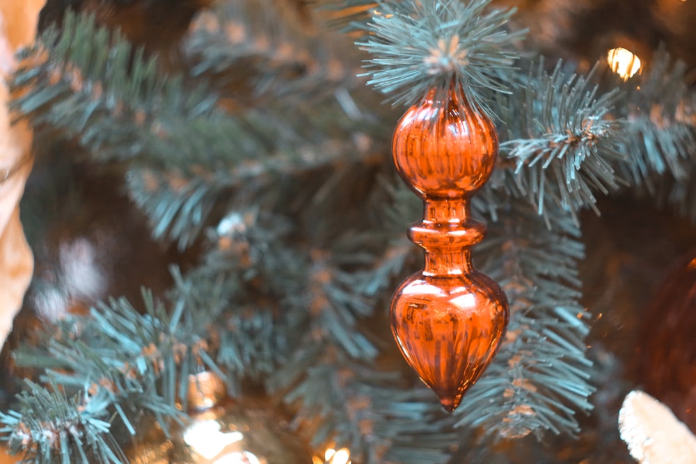 a pine cone from a tree