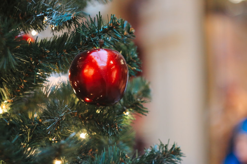 a red ball on a tree