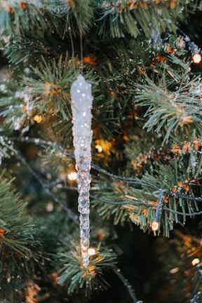 Close-up of delicate glass ornaments hanging from pine branches dusted with snow.