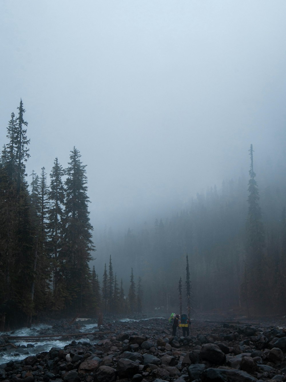 a group of people standing on a rocky area with trees in the background