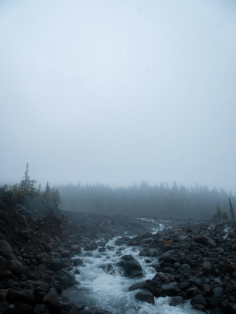 a river with rocks and trees