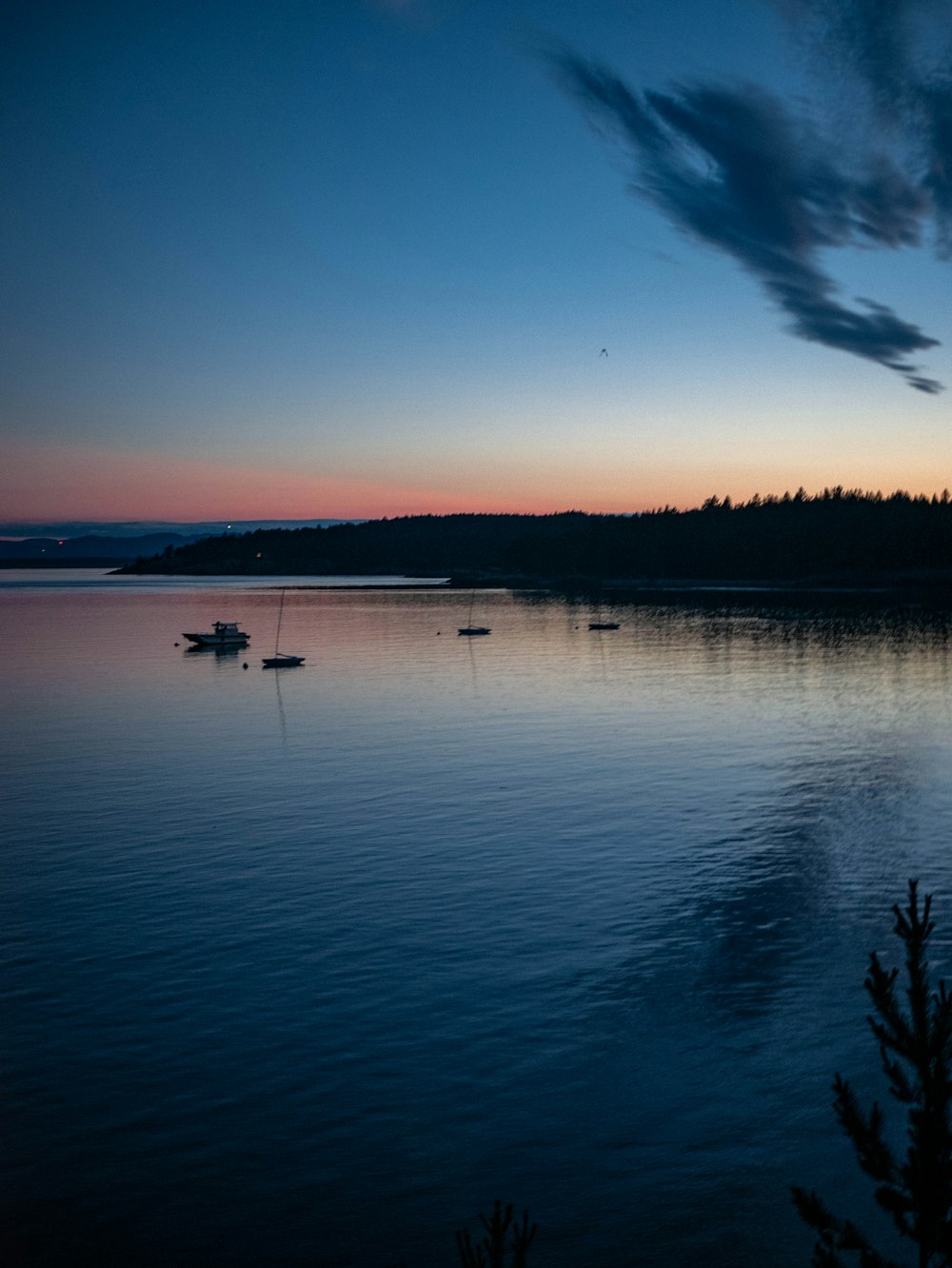 a body of water with boats in it and trees in the back