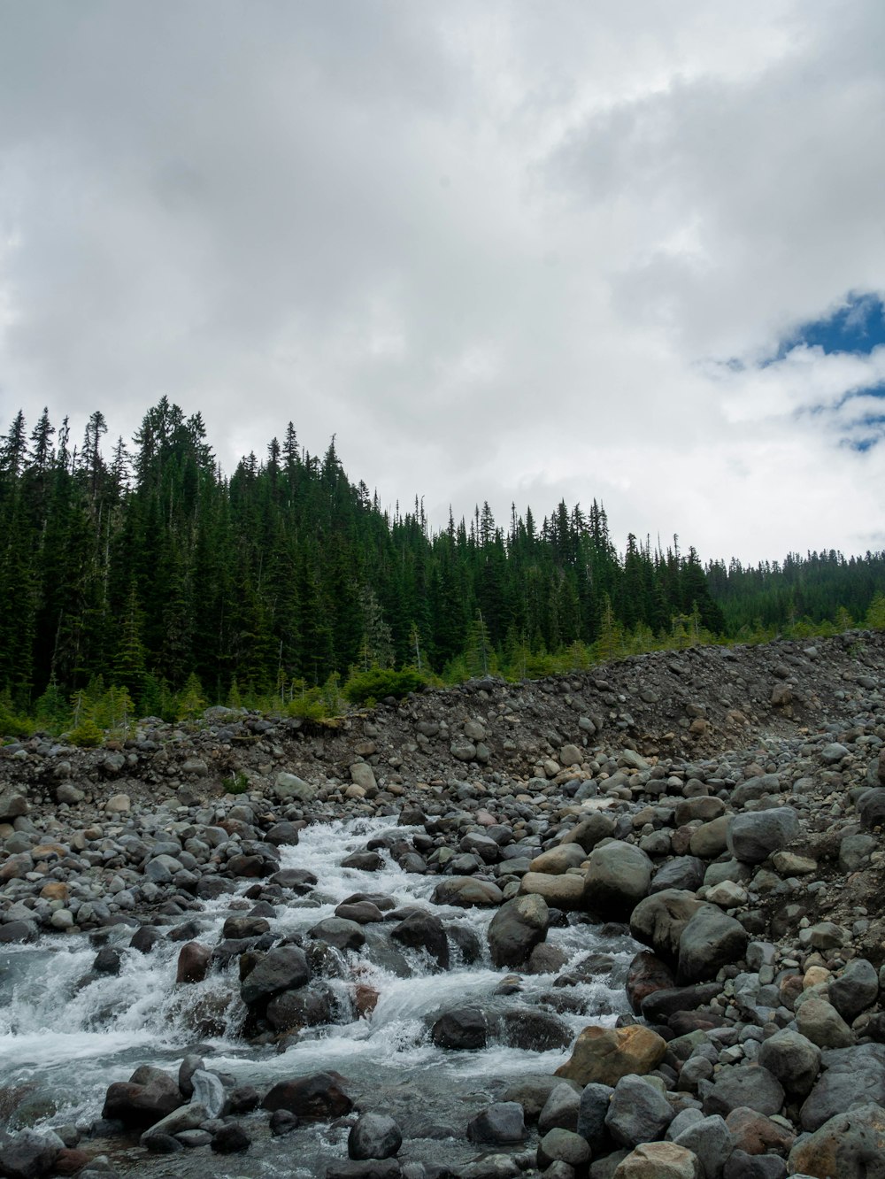 a rocky river bed with trees in the background