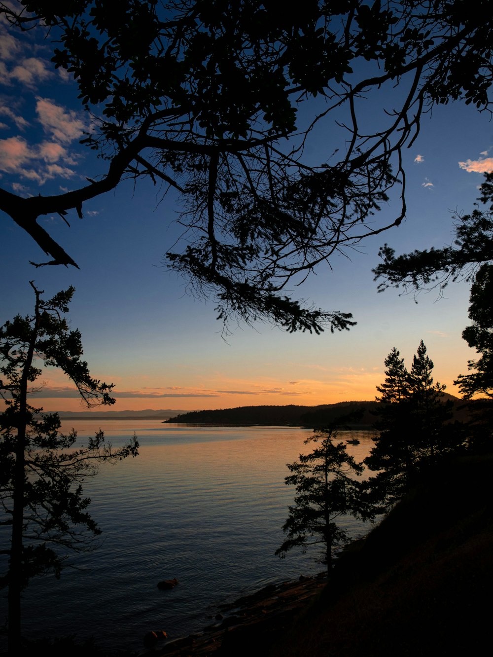 a body of water with trees around it