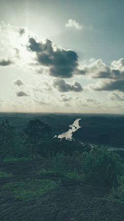 Scenic view of a winding river cutting through dense green jungle under a bright sky.